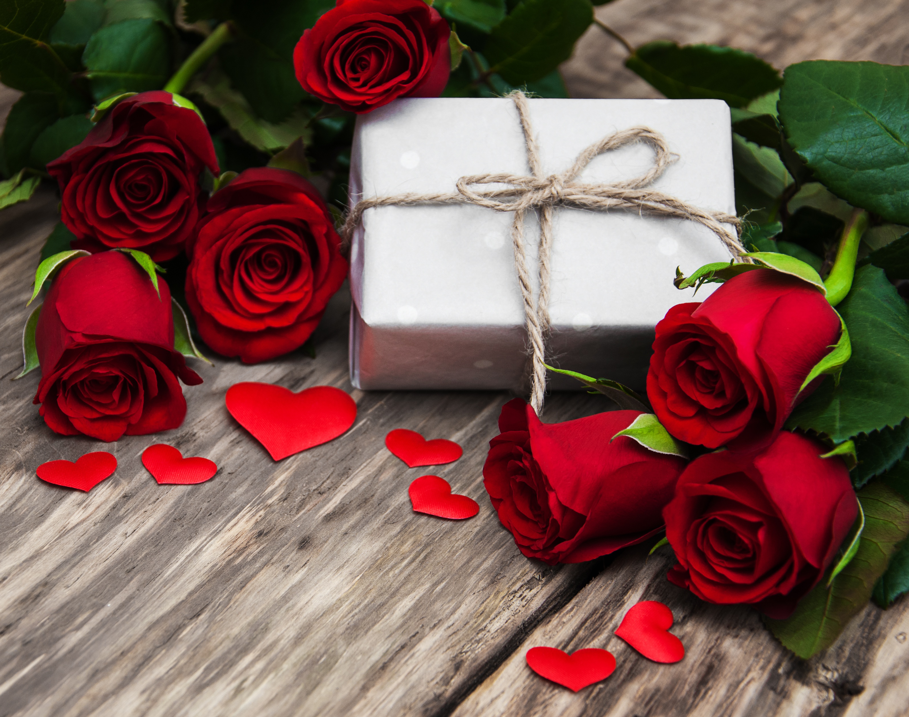 Download mobile wallpaper Love, Rose, Gift, Romantic, Red Flower, Misc for free.