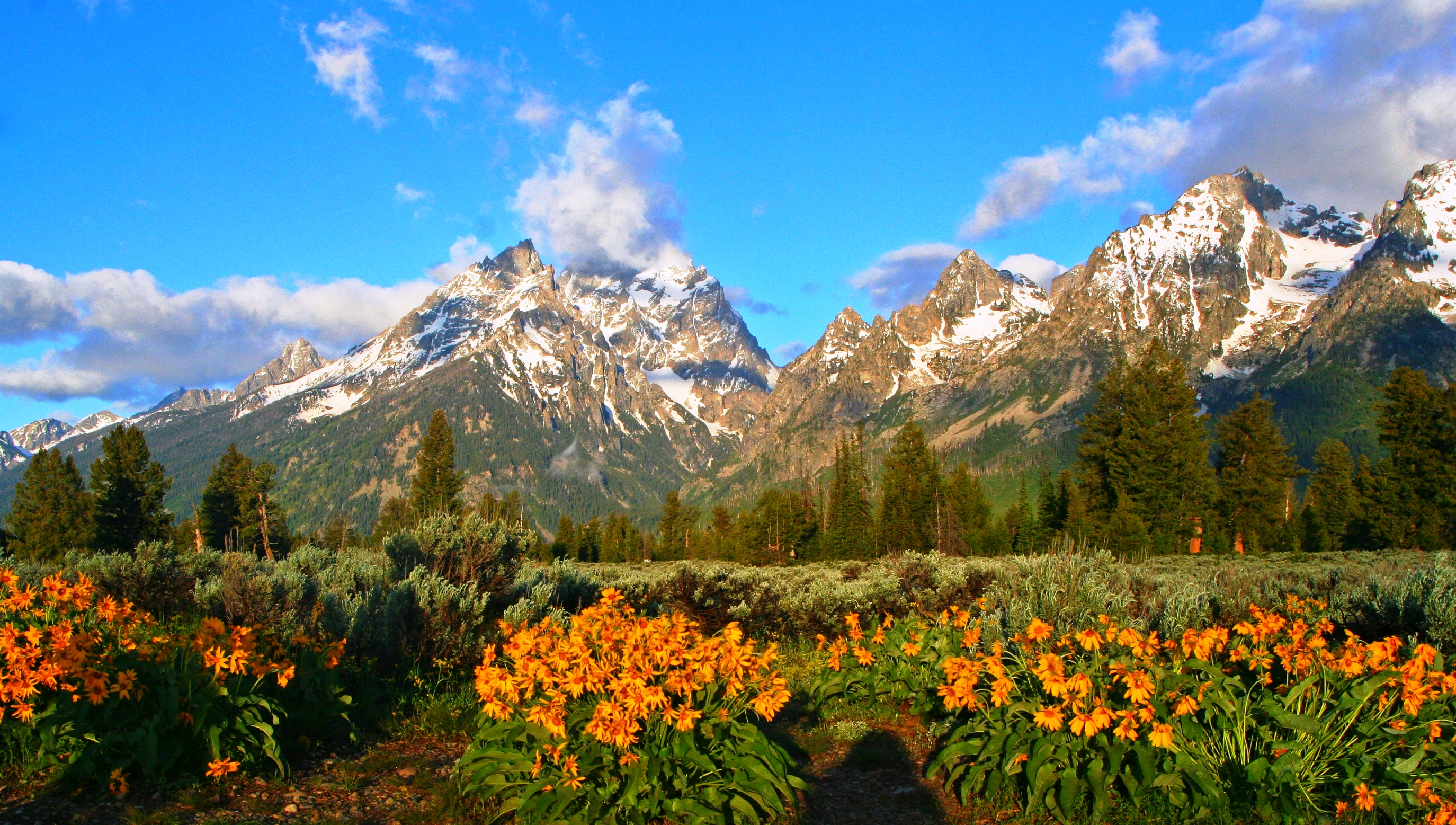Free download wallpaper Landscape, Mountain, Flower, Earth, Spring on your PC desktop