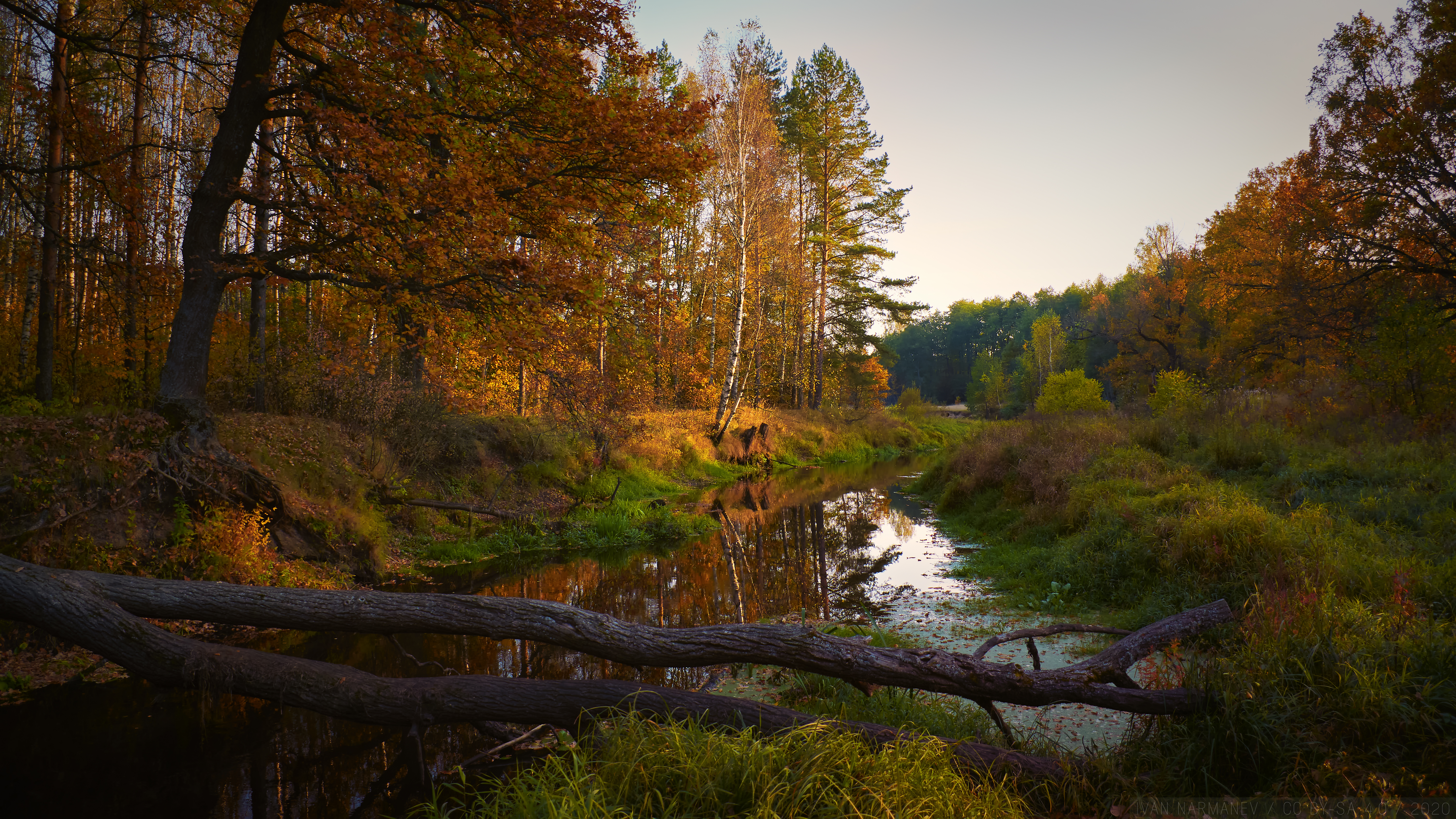 Скачать картинку Осень, Пейзаж, Река, Деревья, Природа в телефон бесплатно.