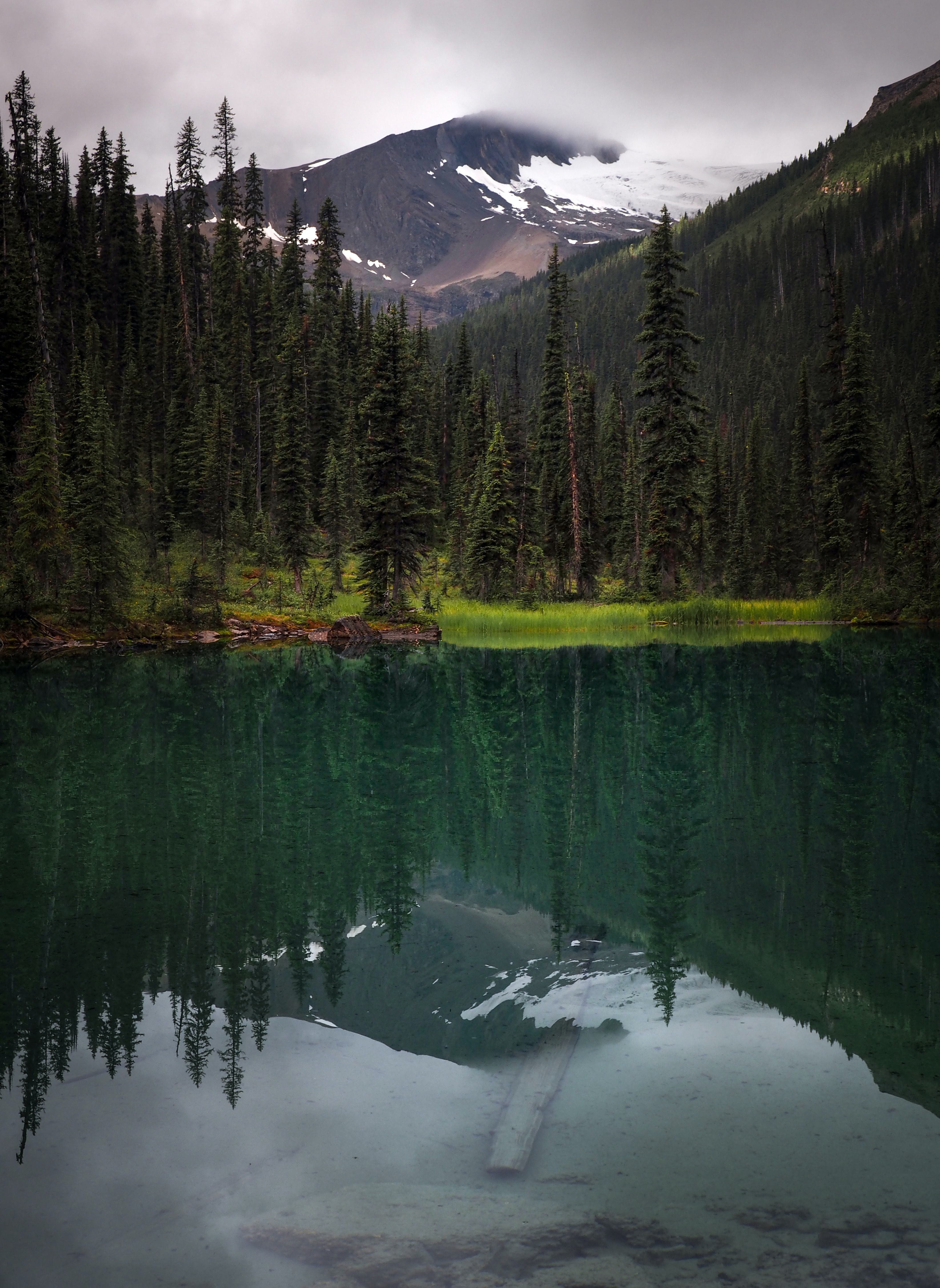 nature, mountain, lake, reflection, forest, spruce, fir