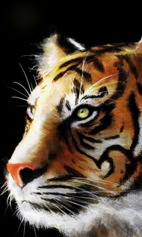 Download mobile wallpaper Cats, Tiger, Animal for free.