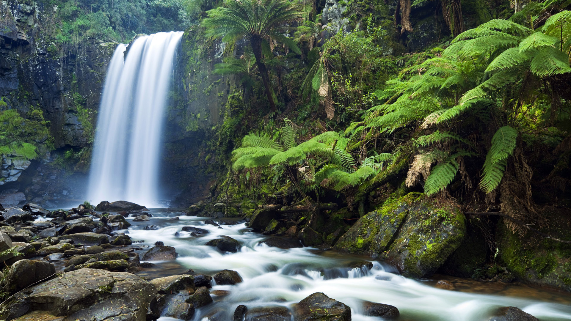 Download mobile wallpaper Waterfalls, Waterfall, Fern, Forest, Tree, Earth, Tropical for free.