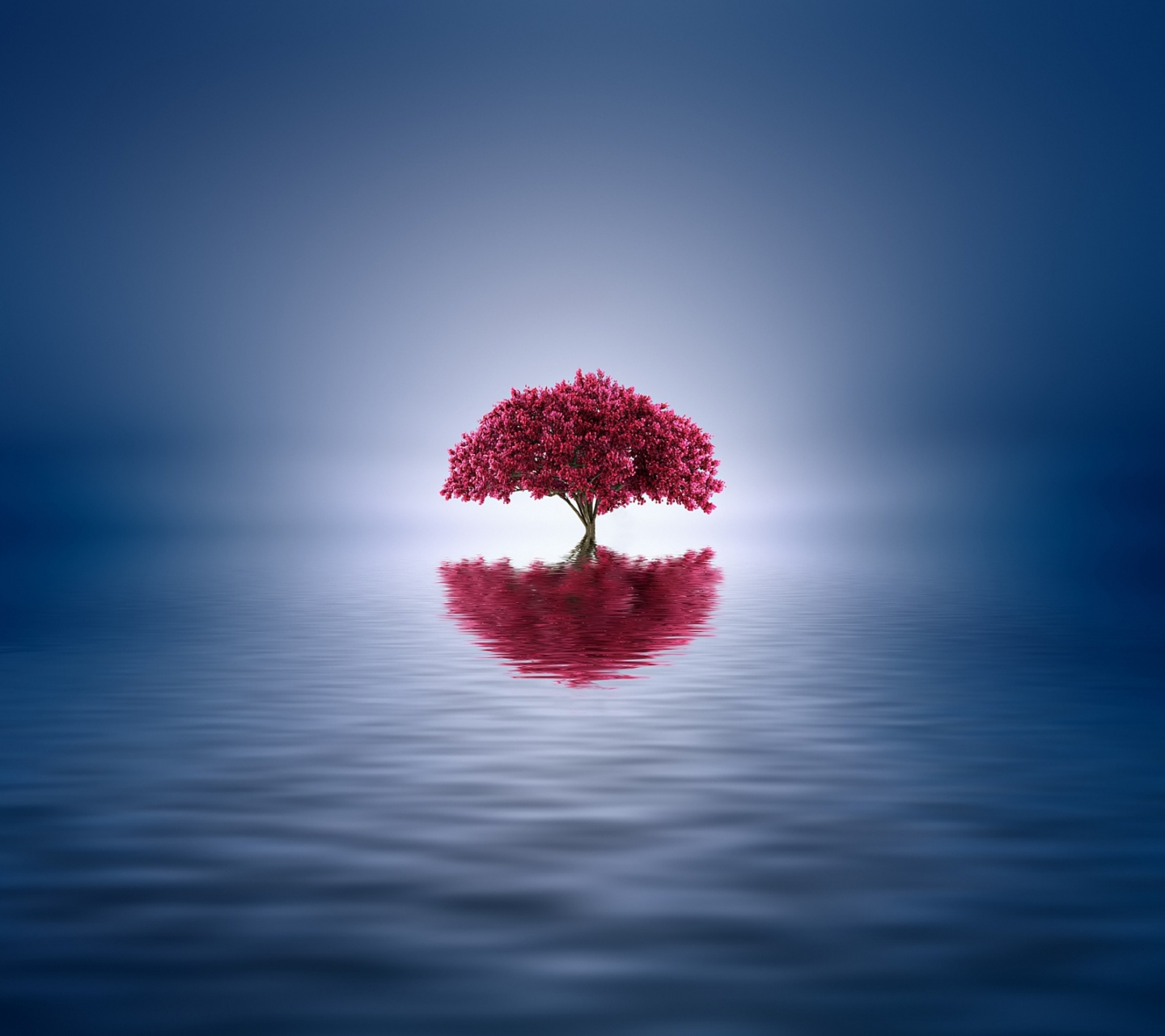 Download mobile wallpaper Reflection, Tree, Artistic, Lonely Tree for free.