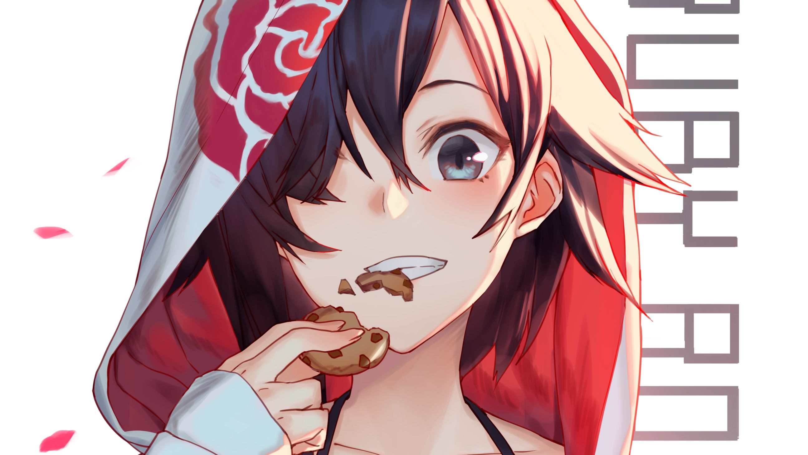 Download mobile wallpaper Anime, Cookie, Rwby, Ruby Rose (Rwby) for free.