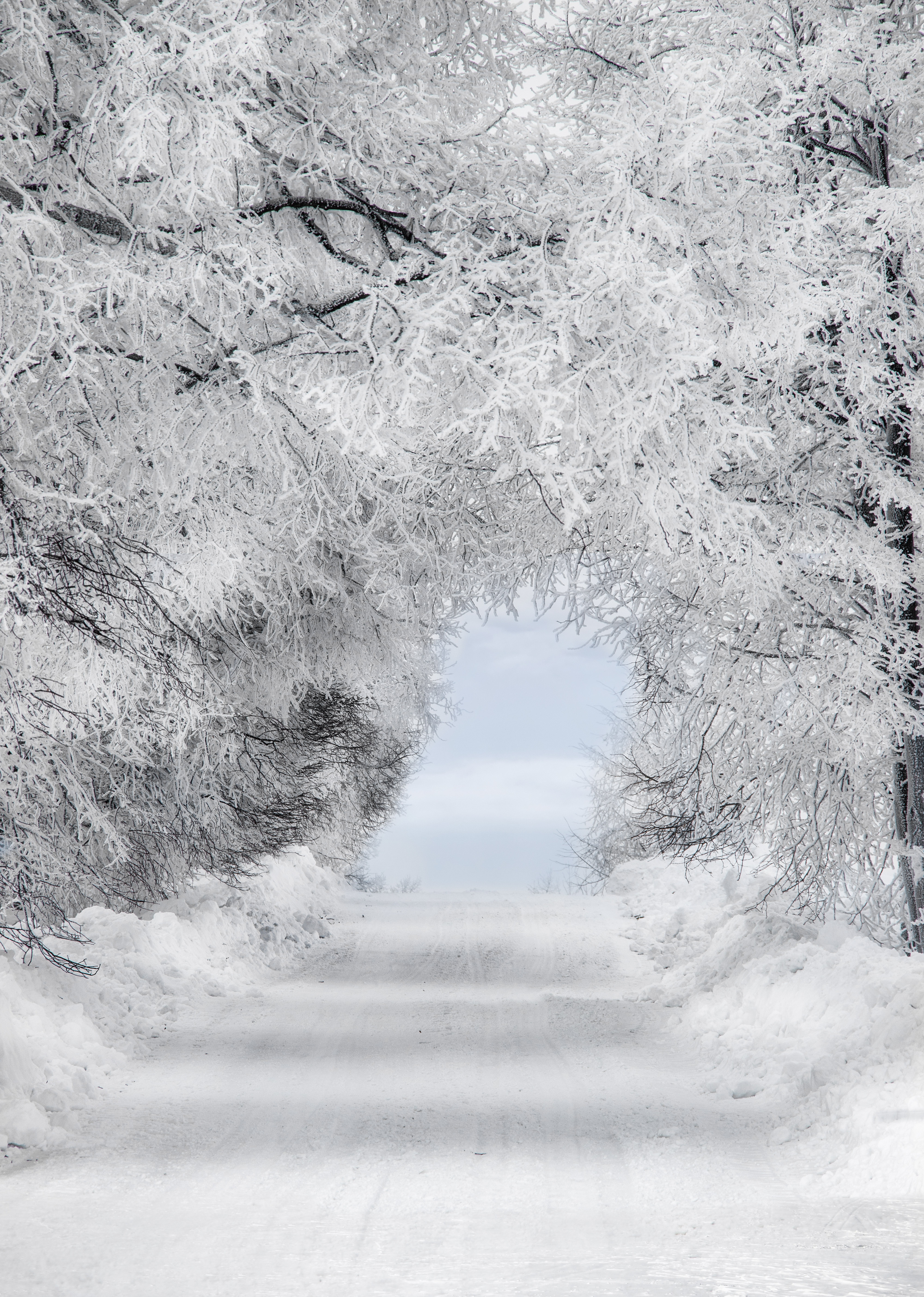 Free download wallpaper Branches, Hoarfrost, Winter, Frost, Forest, Arch, Snow, Road, Minimalism on your PC desktop