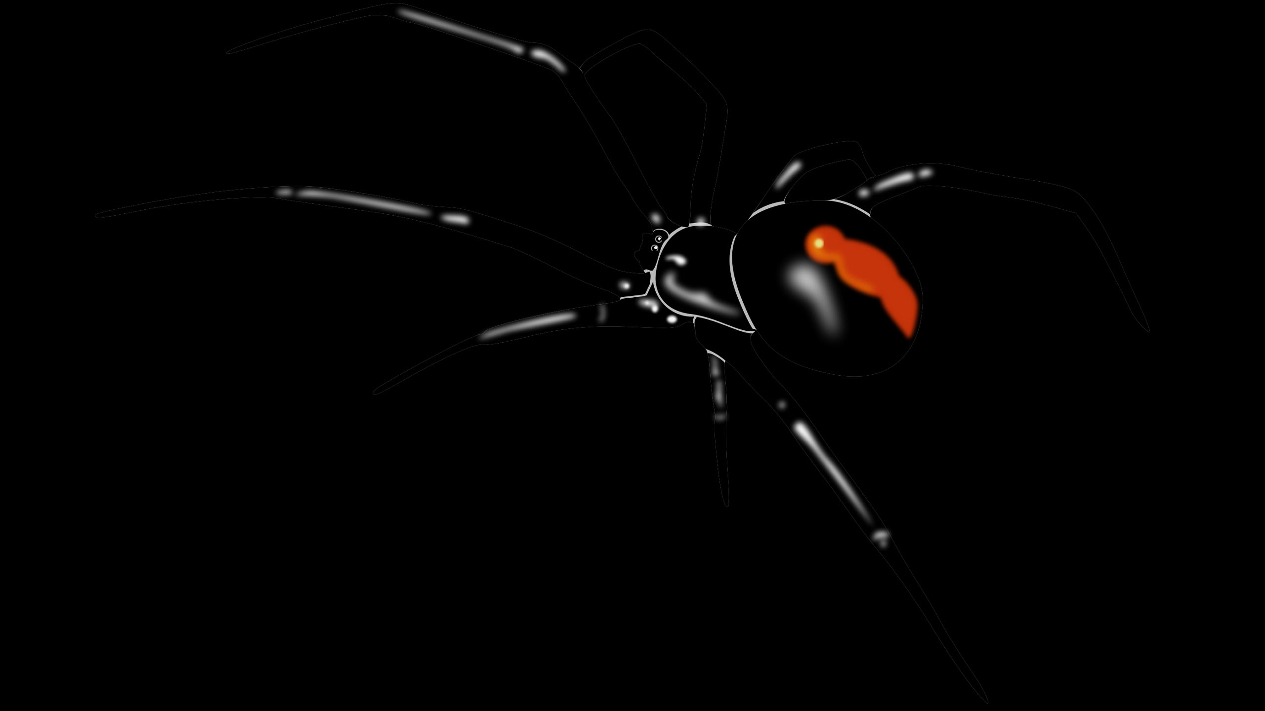 654143 télécharger l'image animaux, araignée à dos rouge - fonds d'écran et économiseurs d'écran gratuits