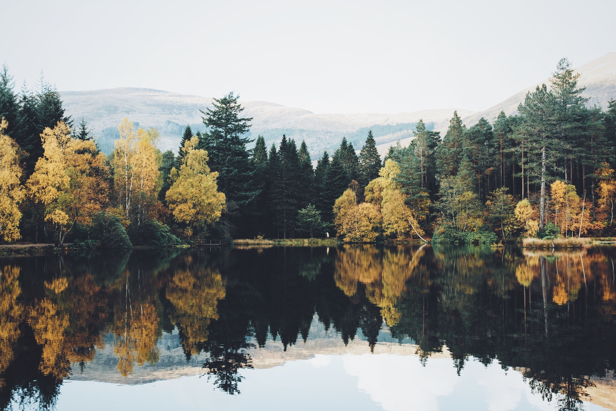 Скачать картинку Природа, Осень, Озеро, Отражение, Дерево, Земля/природа в телефон бесплатно.