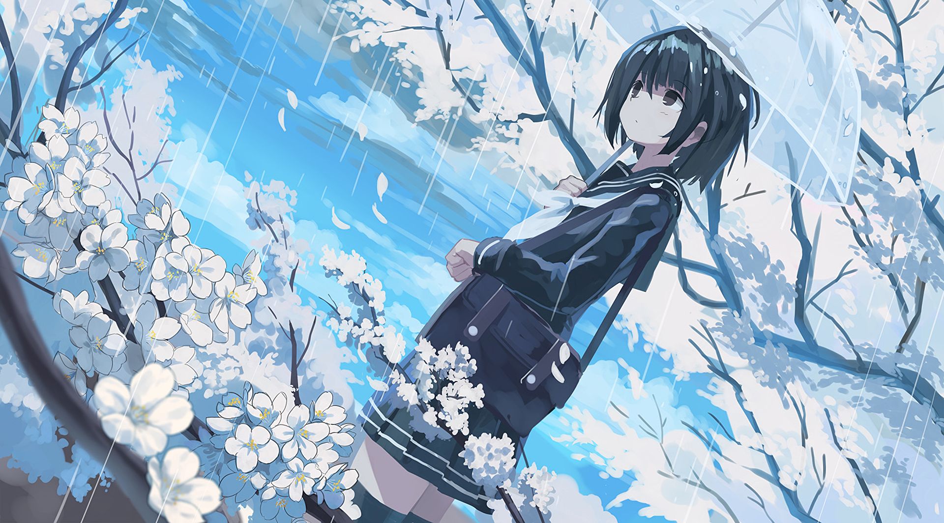 Handy-Wallpaper Regen, Original, Kirschblüte, Animes kostenlos herunterladen.