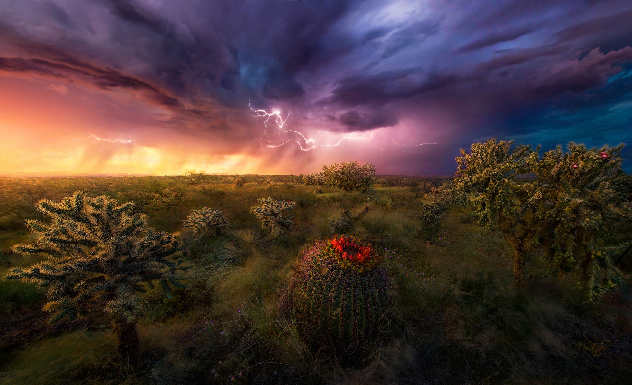 Download mobile wallpaper Nature, Sky, Lightning, Desert, Earth, Storm, Cloud for free.