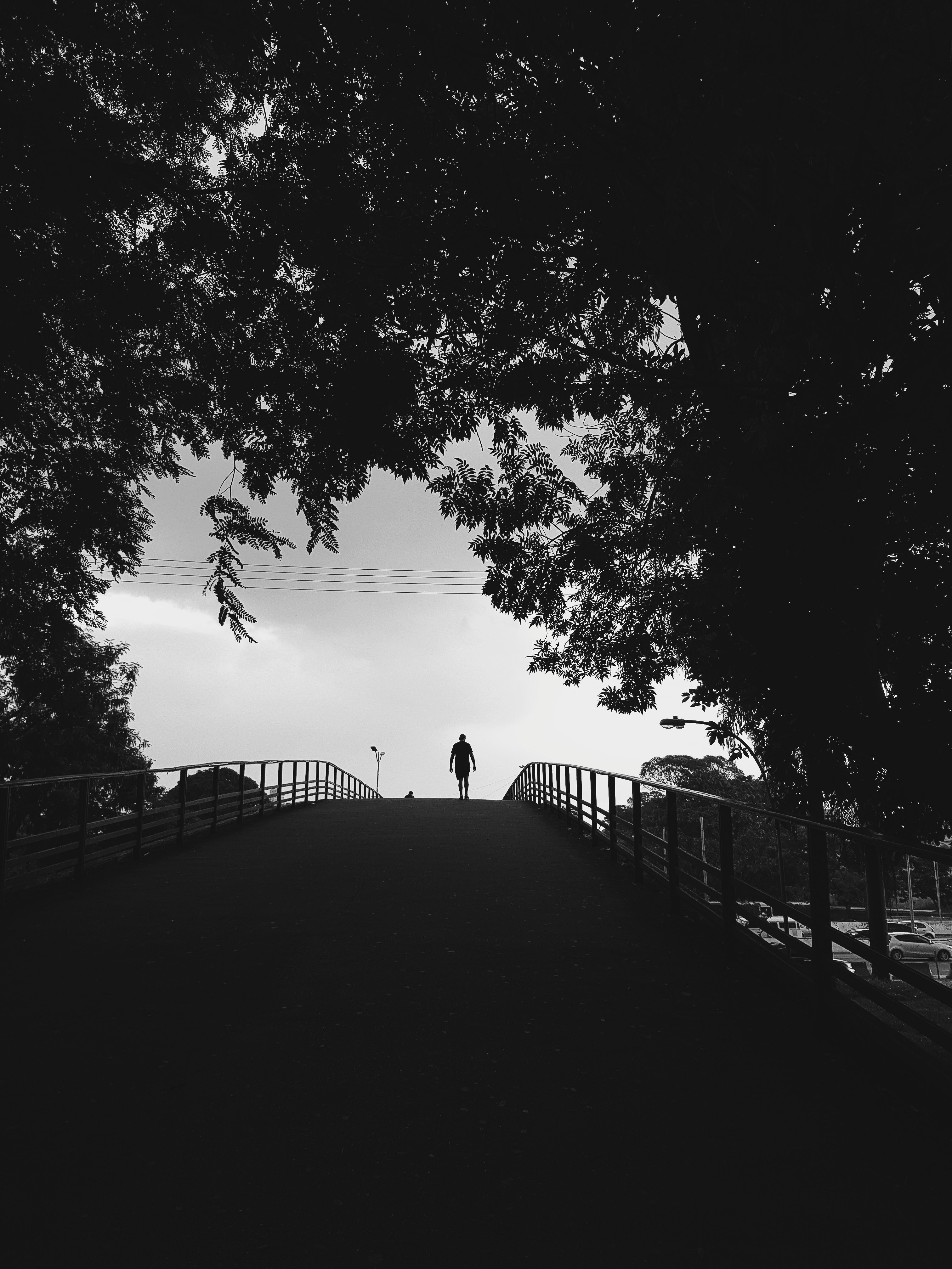 Free download wallpaper Alone, Trees, Stroll, Bw, Silhouette, Chb, Loneliness, Lonely on your PC desktop