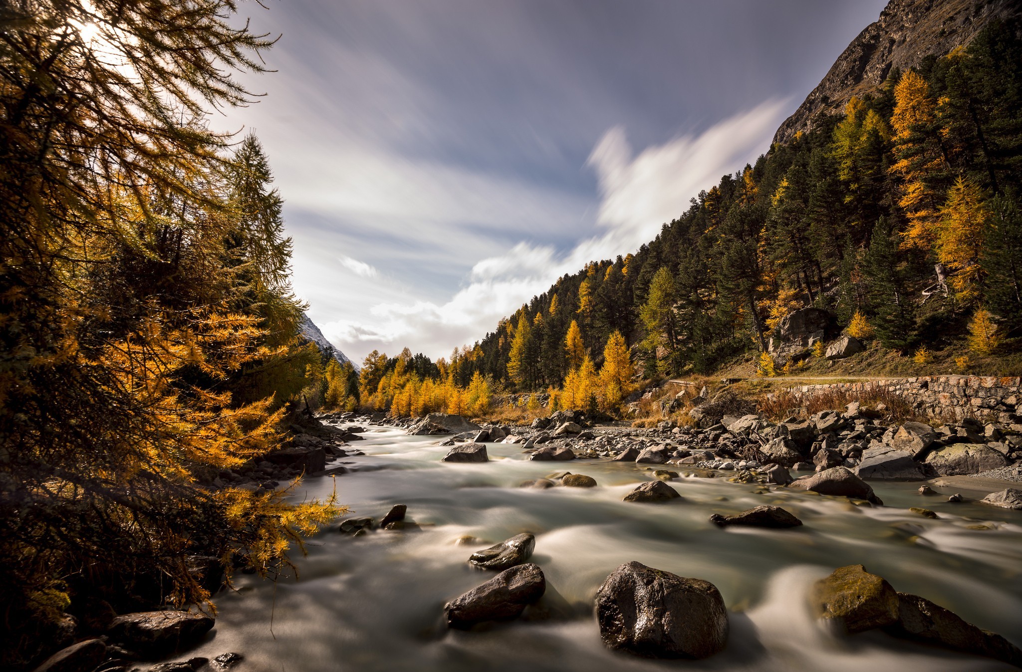 Baixe gratuitamente a imagem Outono, Floresta, Corrente, Terra/natureza na área de trabalho do seu PC