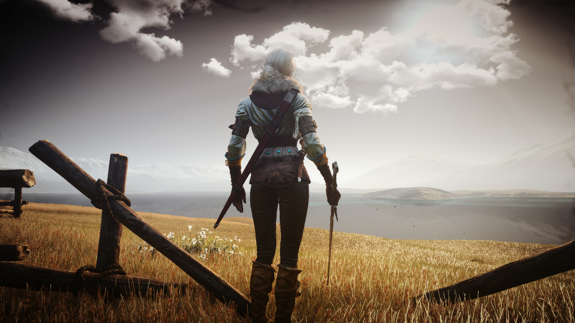ciri (the witcher), the witcher 3: wild hunt, the witcher, video game