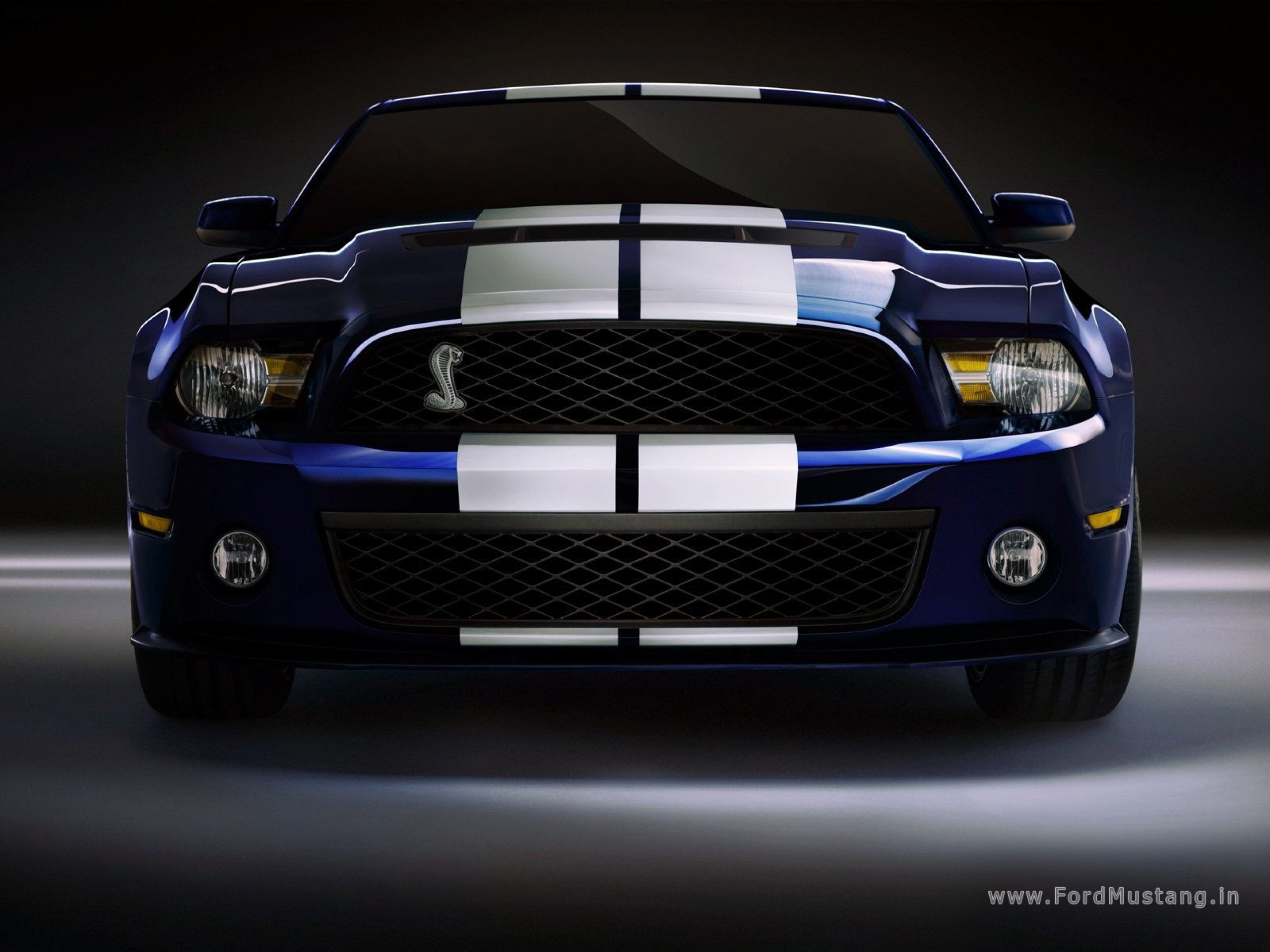Laden Sie das Ford, Ford Mustang Shelby Gt500, Fahrzeuge-Bild kostenlos auf Ihren PC-Desktop herunter