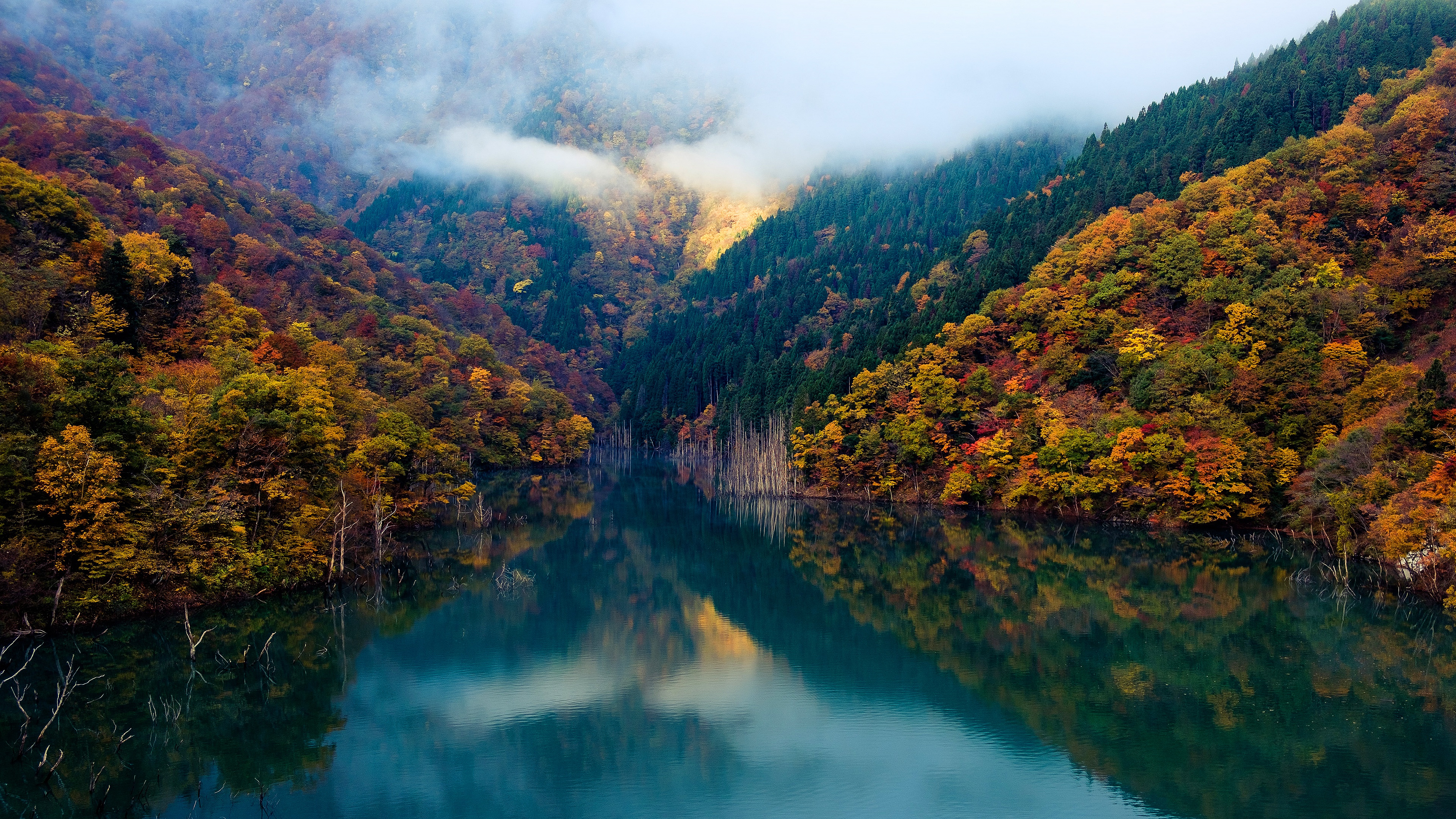 Download mobile wallpaper Mountain, Reflection, Forest, Fog, Fall, Earth, Hill, River for free.
