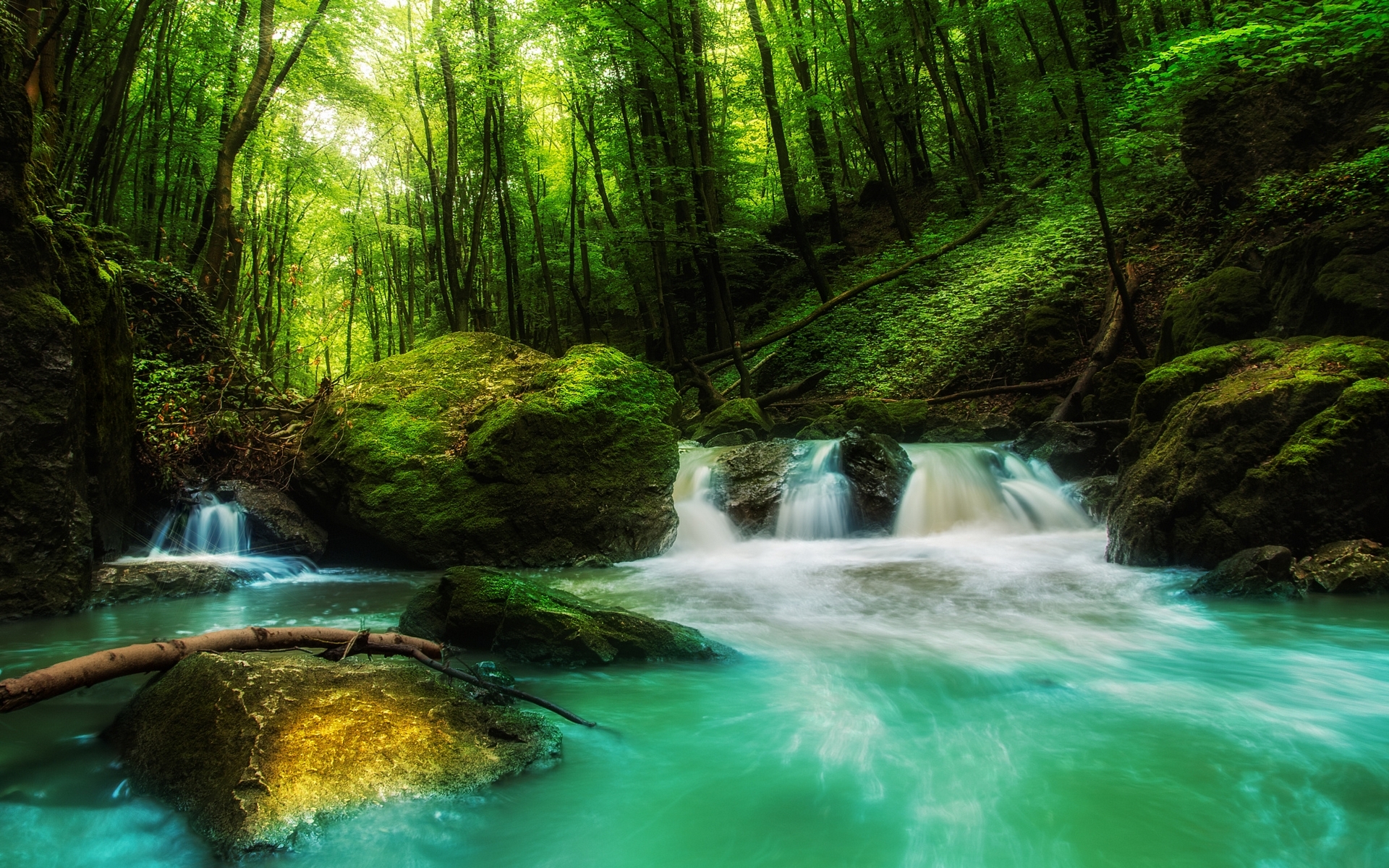 Free download wallpaper Nature, Water, Waterfalls, Waterfall, Forest, Tree, Earth on your PC desktop