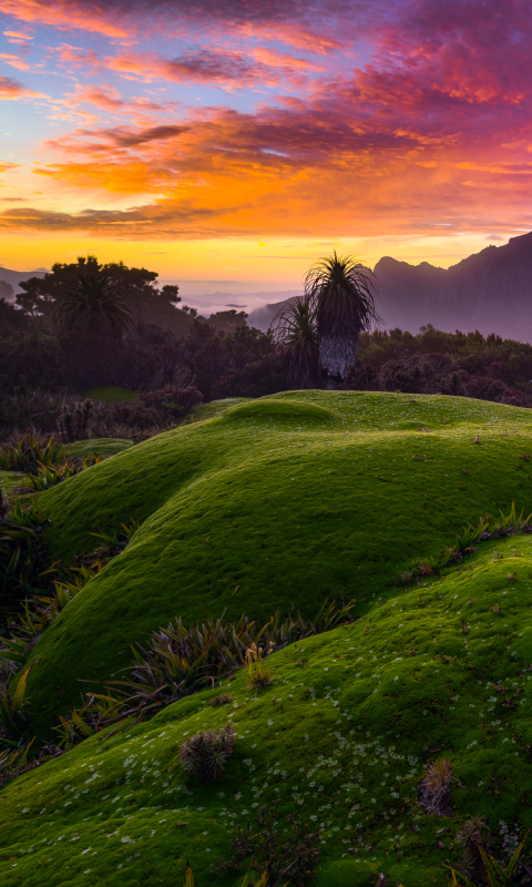 Descarga gratuita de fondo de pantalla para móvil de Paisaje, Montaña, Árbol, Tierra, Atardecer, Tierra/naturaleza.