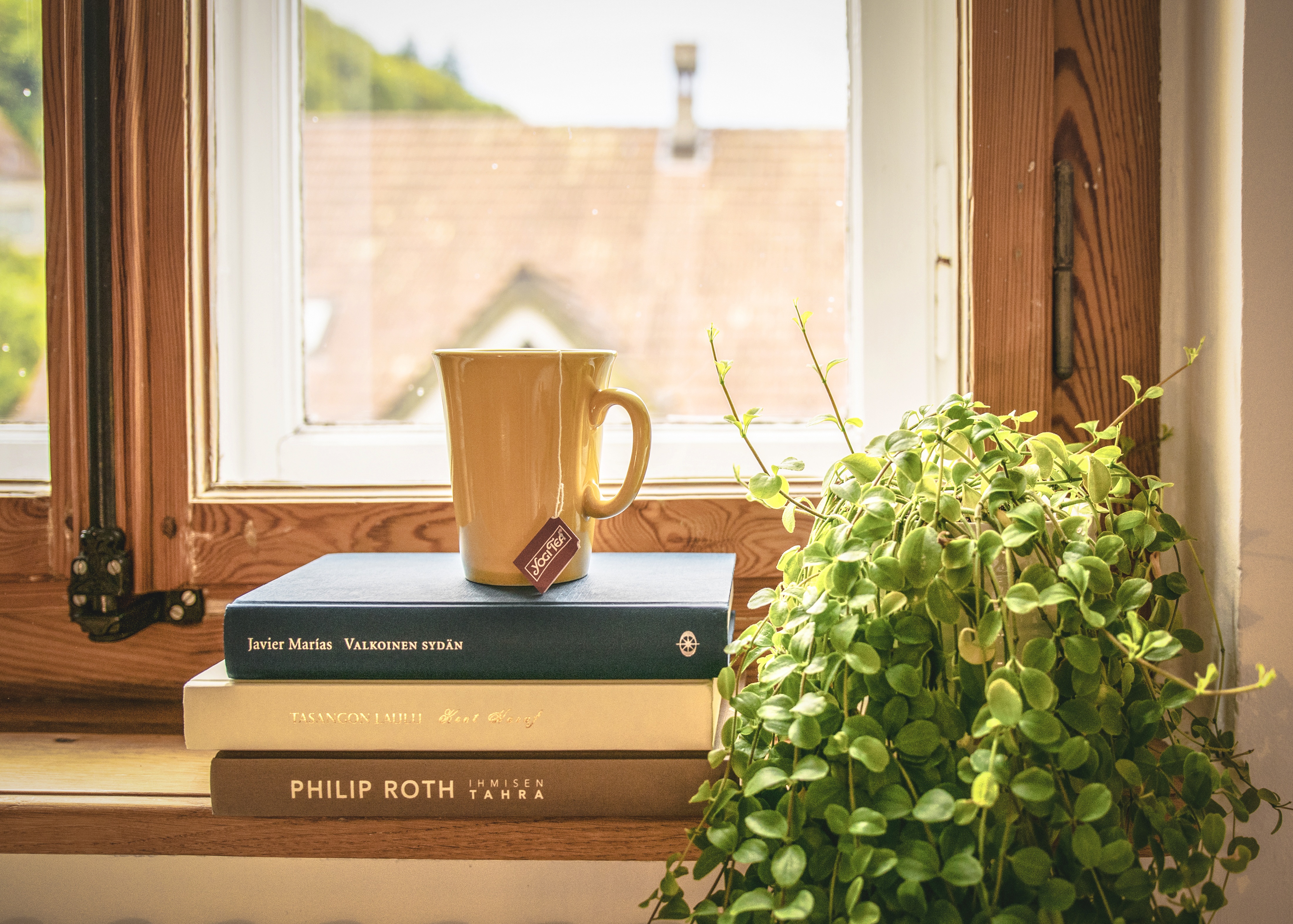 70361壁紙のダウンロードカップ, 窓辺, 図書, その他, 雑, 窓, 窓枠, お茶, 茶, 屋内植物, 観葉植物-スクリーンセーバーと写真を無料で
