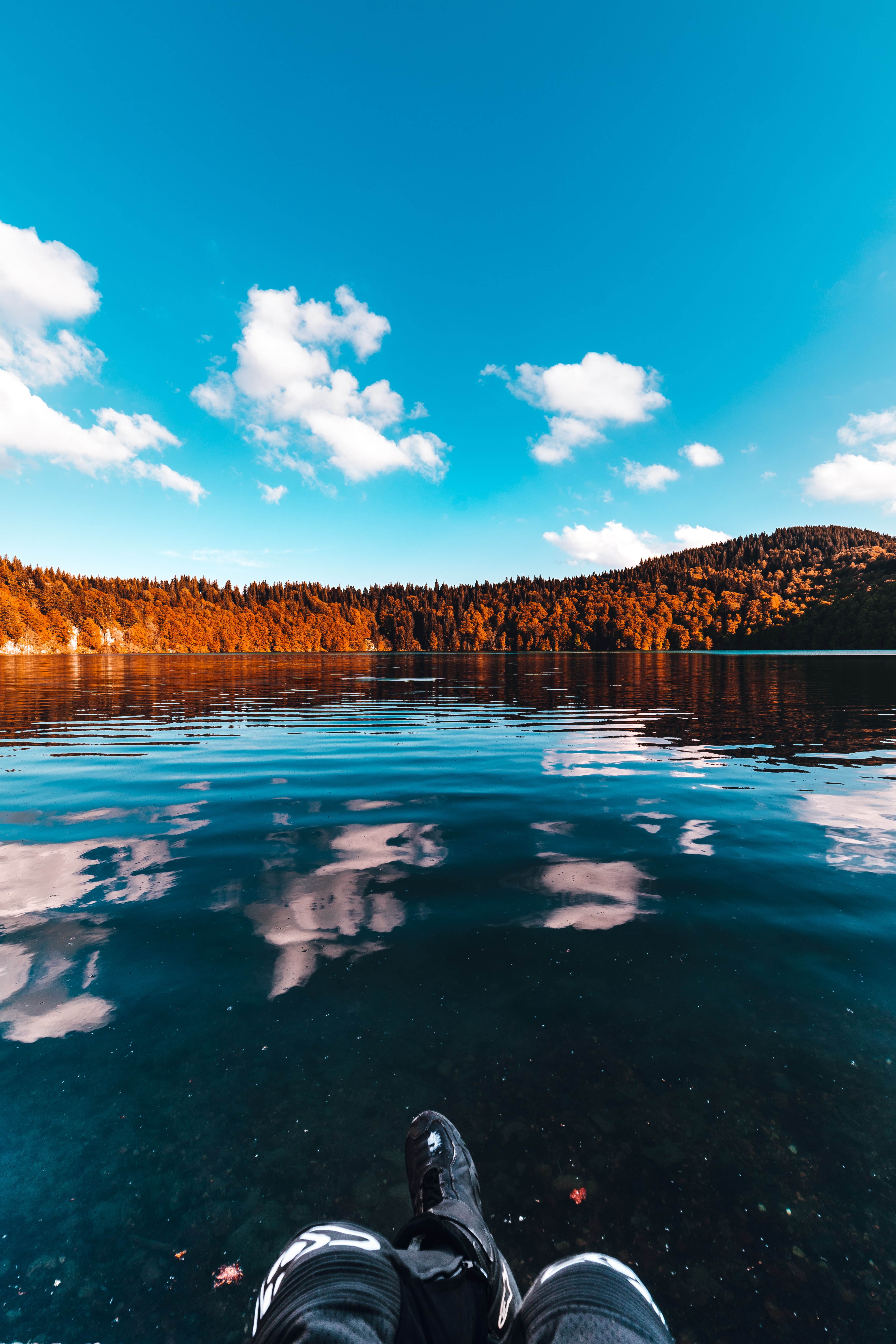 Free download wallpaper Trees, Sky, Lake, Nature, Forest, Ice on your PC desktop