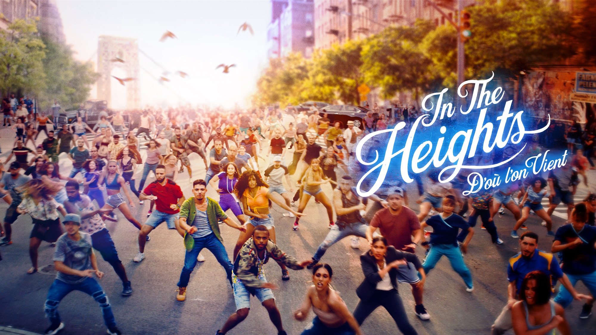 movie, in the heights