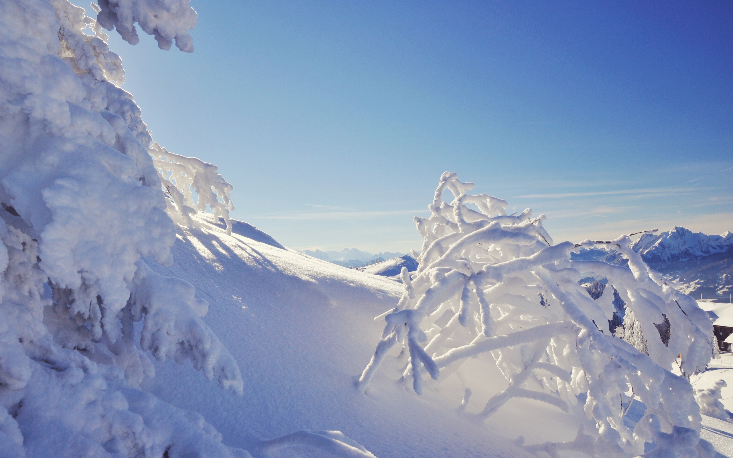 Téléchargez gratuitement l'image Hiver, Terre/nature sur le bureau de votre PC