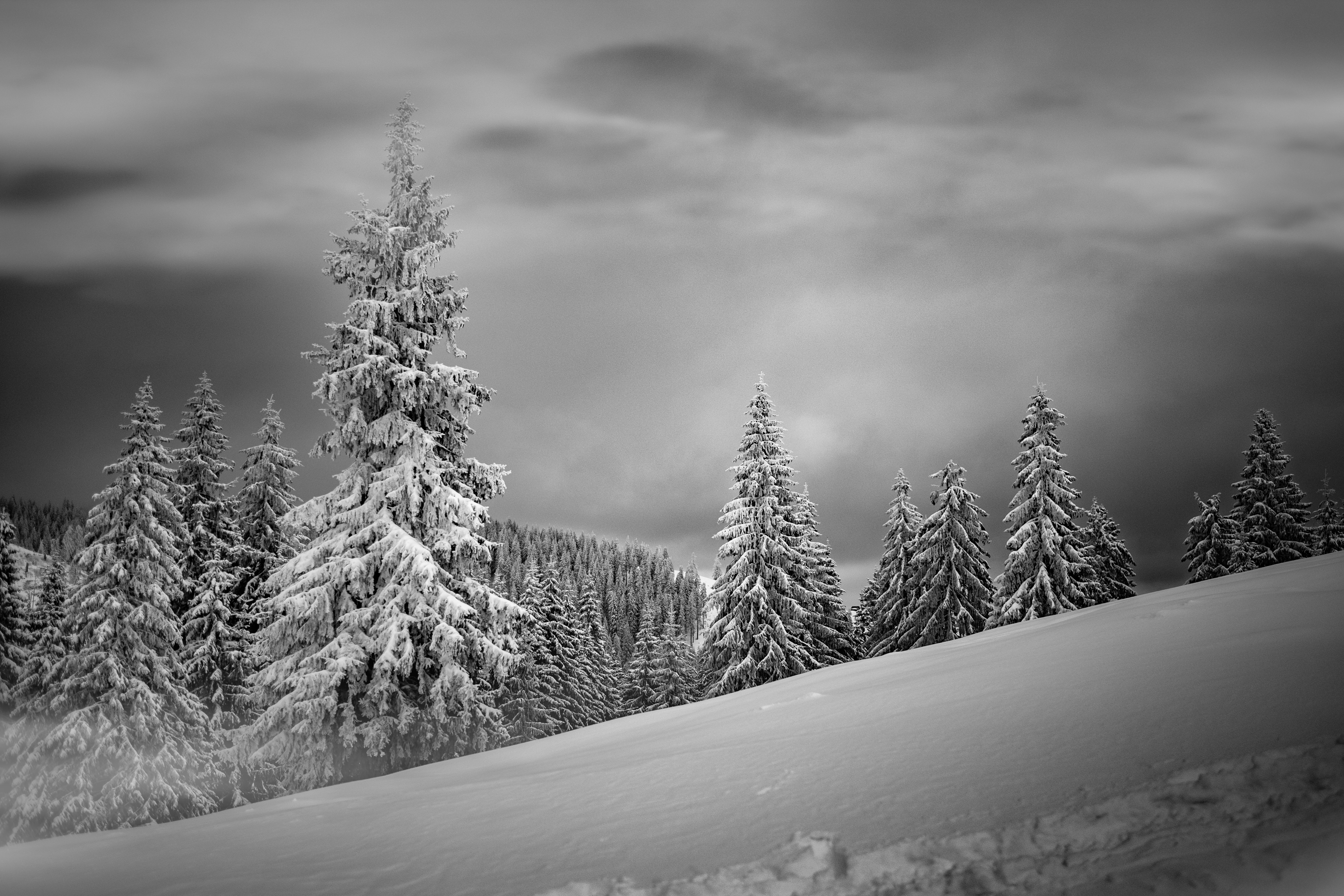 Téléchargez des papiers peints mobile Hiver, Terre/nature gratuitement.