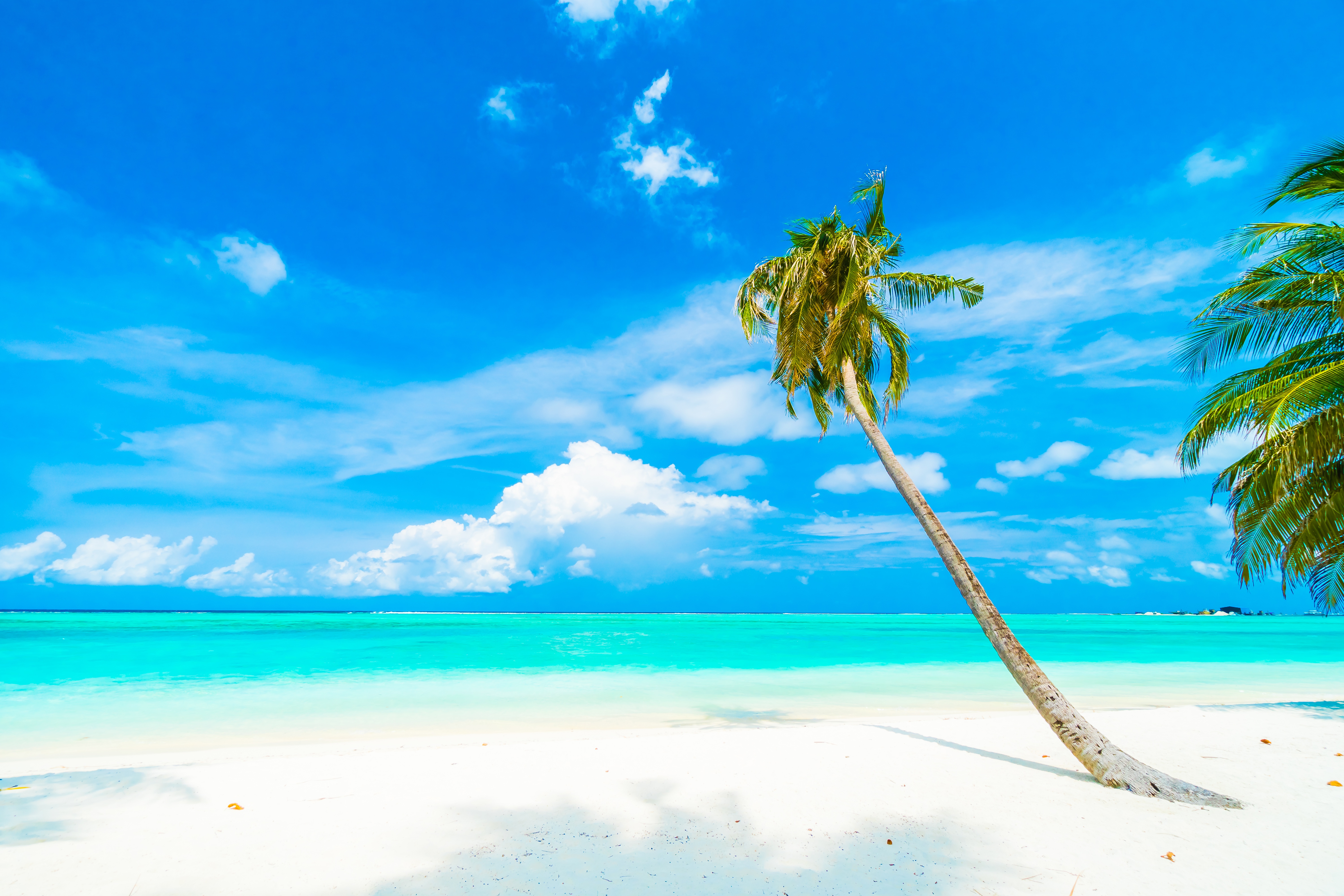 Free download wallpaper Nature, Sky, Horizon, Ocean, Earth, Tropical, Cloud, Palm Tree on your PC desktop