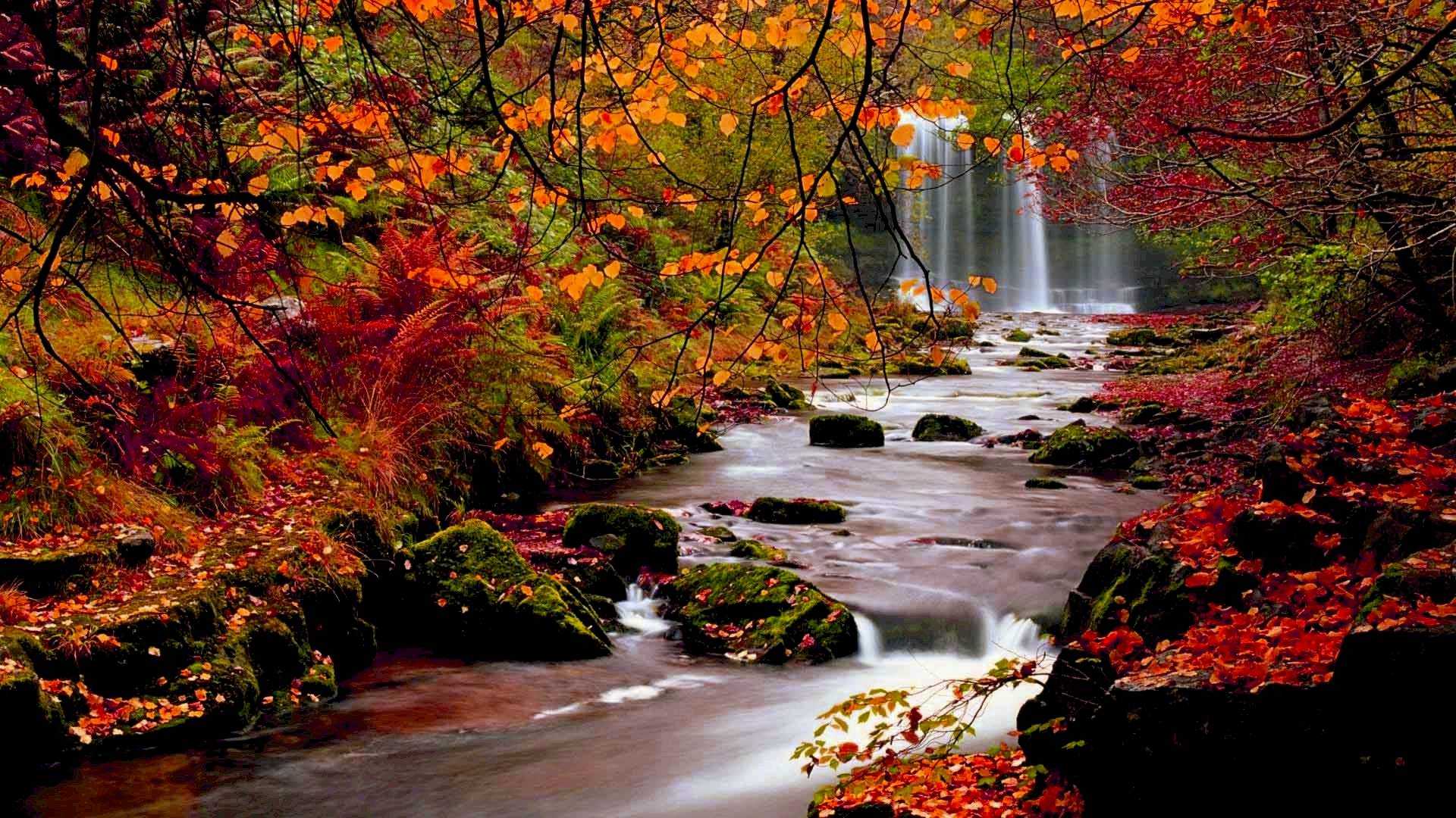 Handy-Wallpaper Natur, Herbst, Wasserfälle, Wasserfall, Wald, Baum, Strom, Erde/natur kostenlos herunterladen.