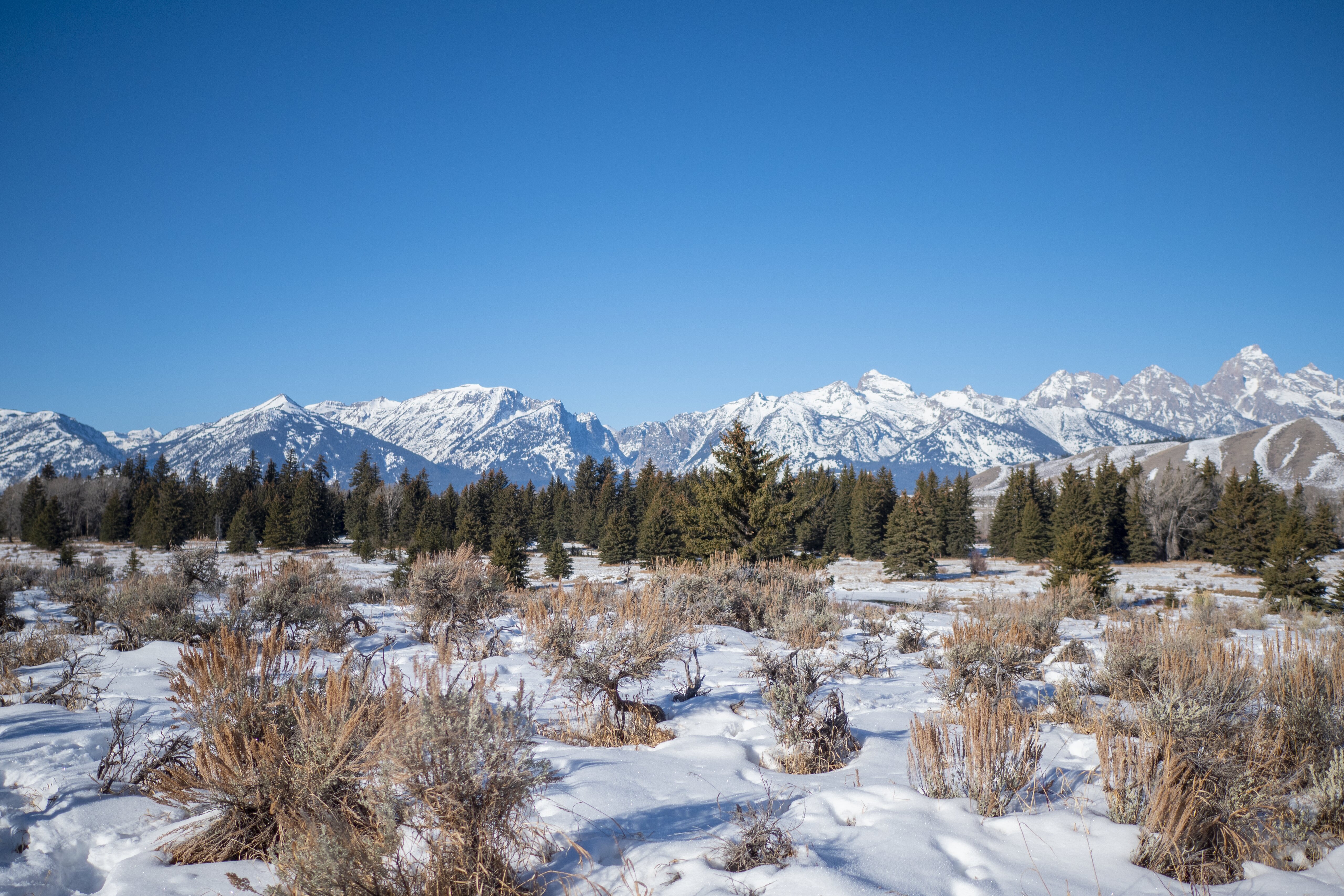 無料モバイル壁紙自然, 木, 山脈, ブッシュ, 雪, 風景をダウンロードします。