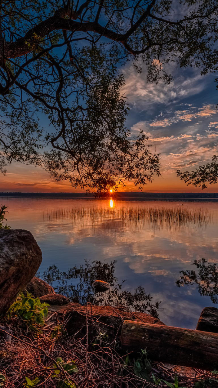 Download mobile wallpaper Landscape, Sunset, Lake, Tree, Earth for free.