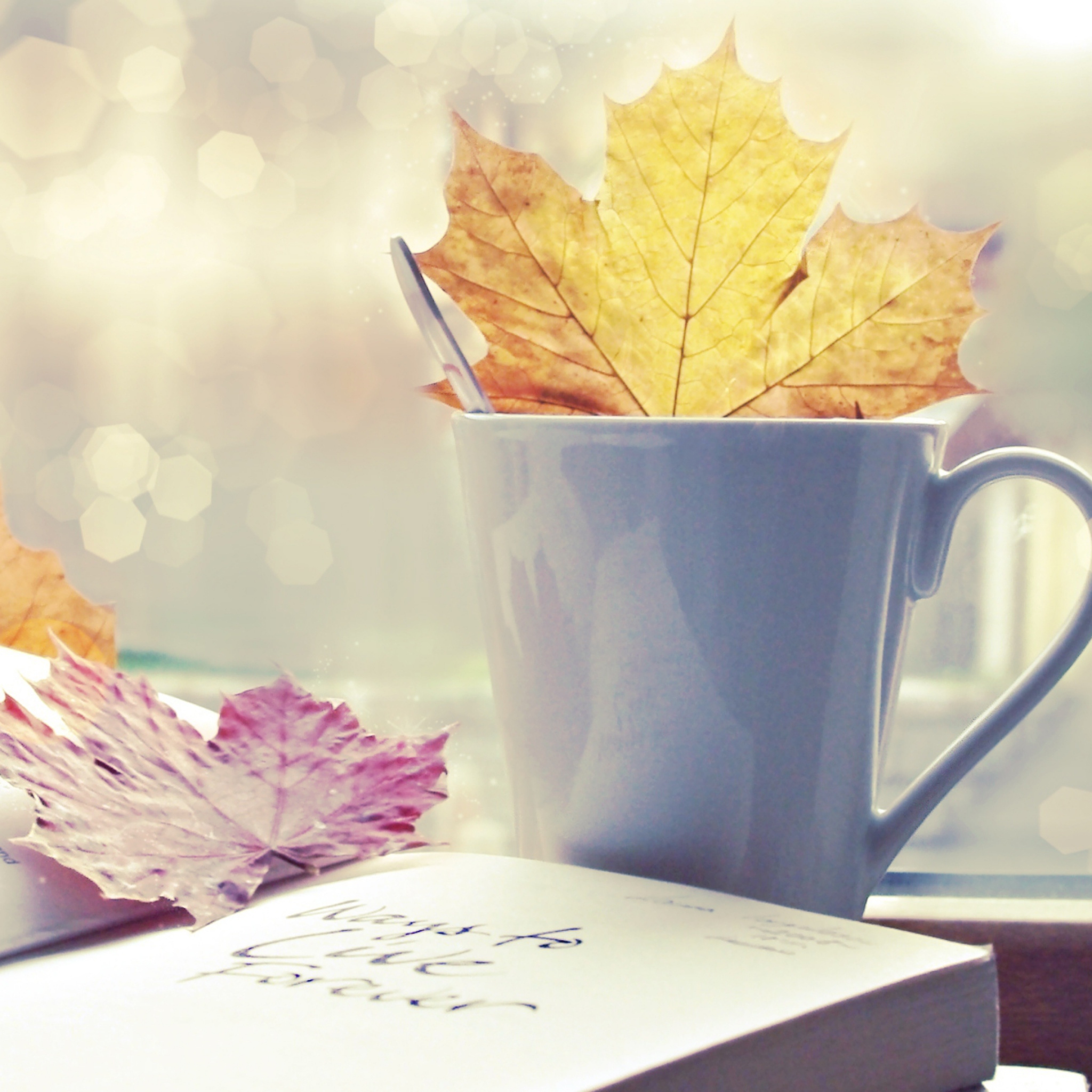 Download mobile wallpaper Leaves, Cups, Background for free.