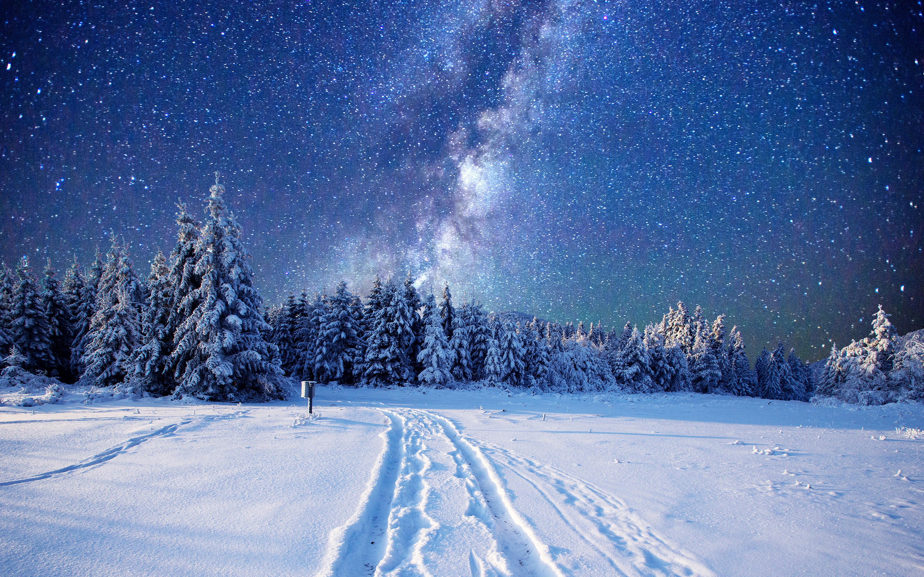 Скачать обои бесплатно Зима, Природа, Звезды, Ночь, Дорога, Лес, Земля/природа картинка на рабочий стол ПК