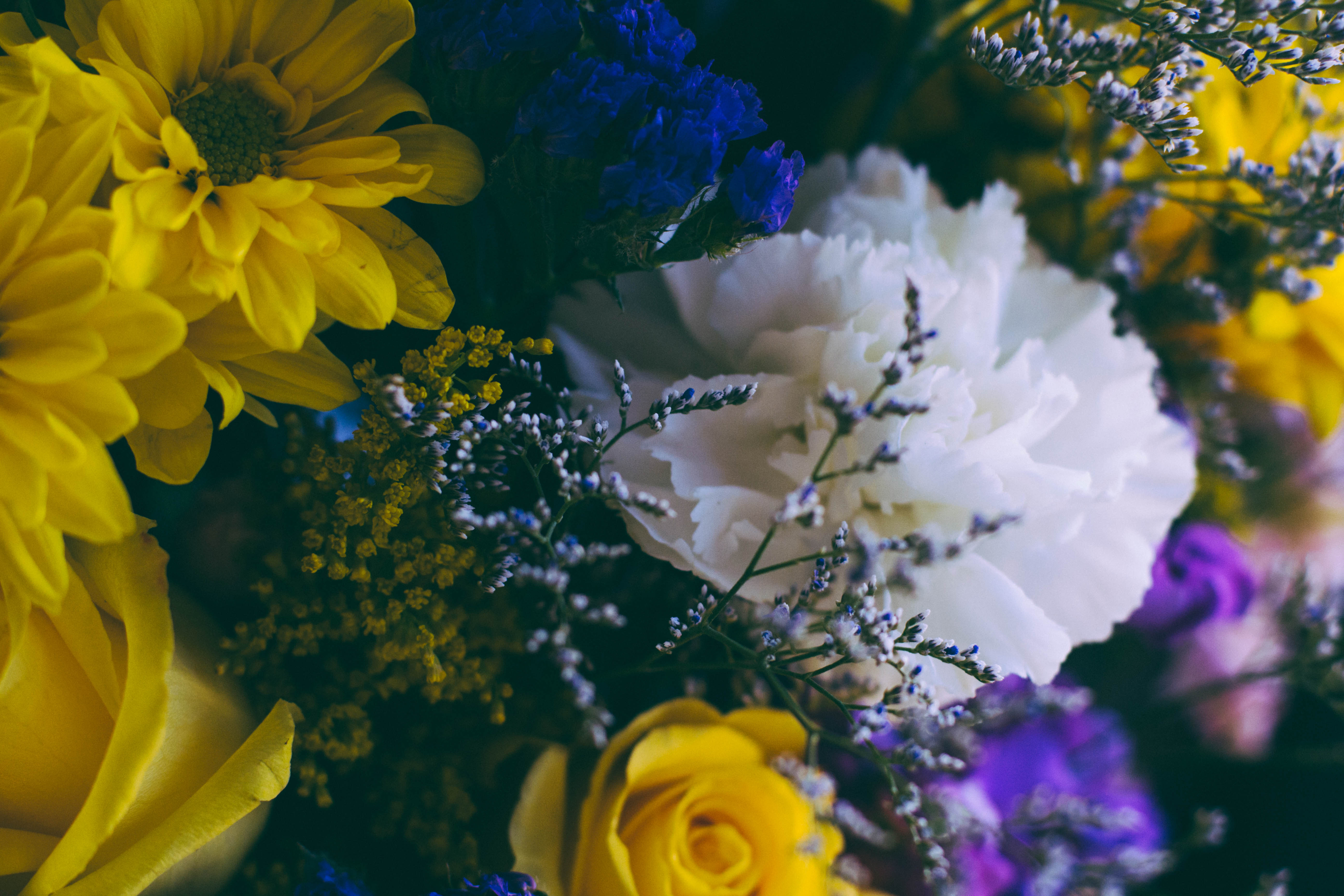 flowers, multicolored, motley, bouquet, composition