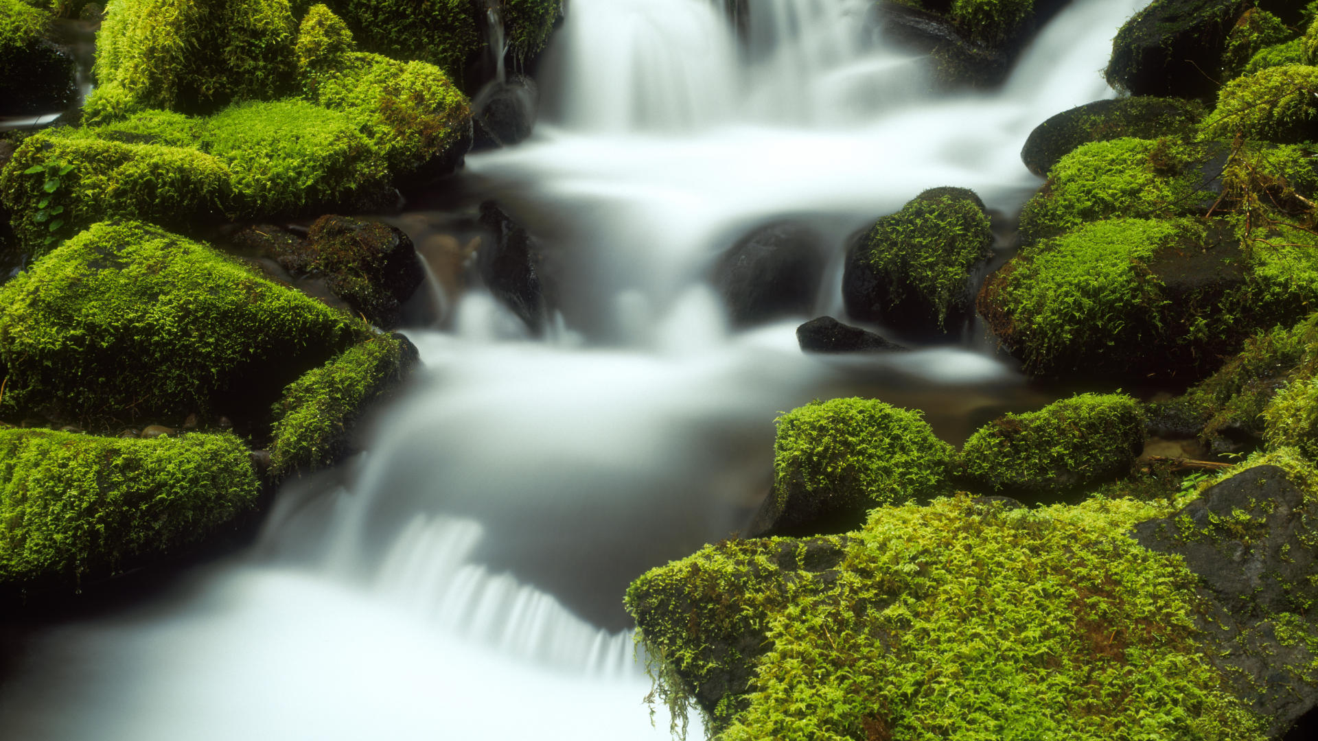 Скачать картинку Вода, Зеленый, Водопад, Водопады, Земля/природа в телефон бесплатно.