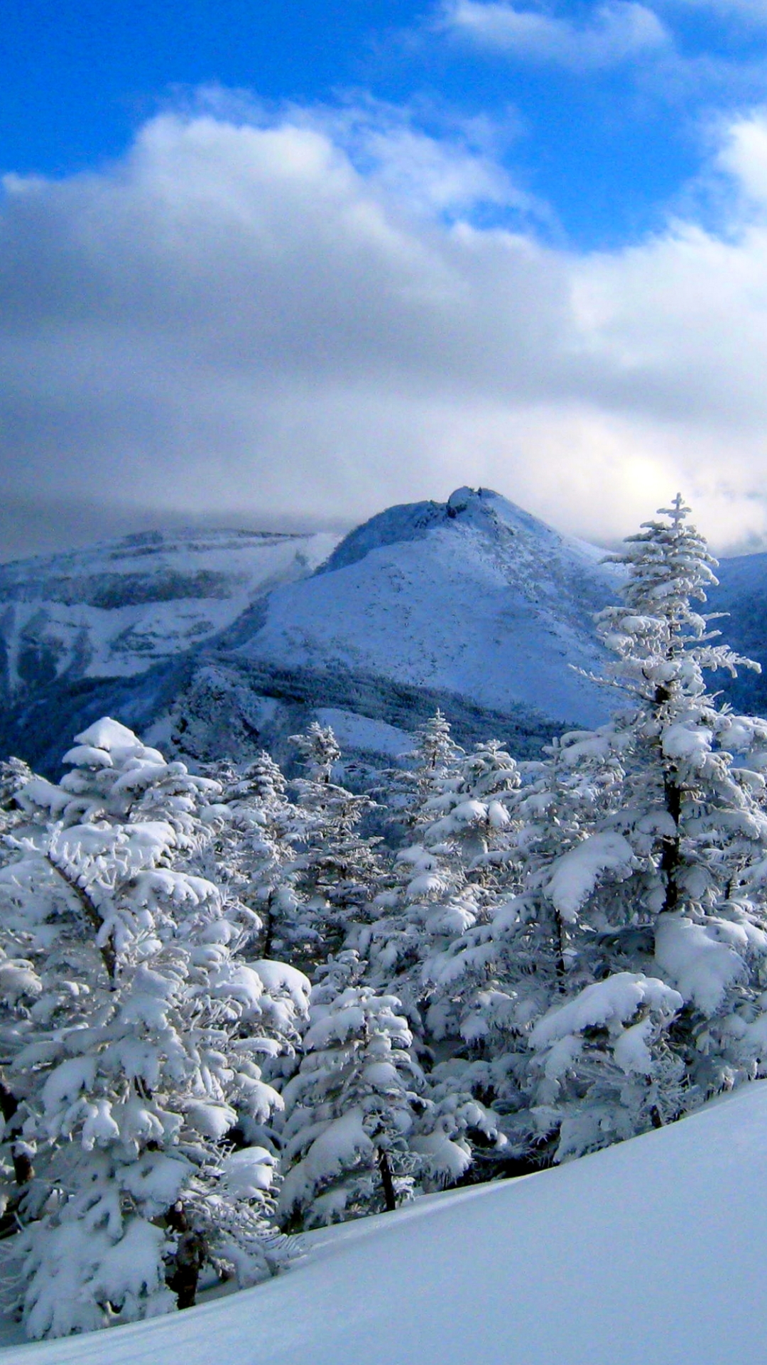 Baixar papel de parede para celular de Inverno, Neve, Montanha, Floresta, Árvore, Terra, Terra/natureza gratuito.