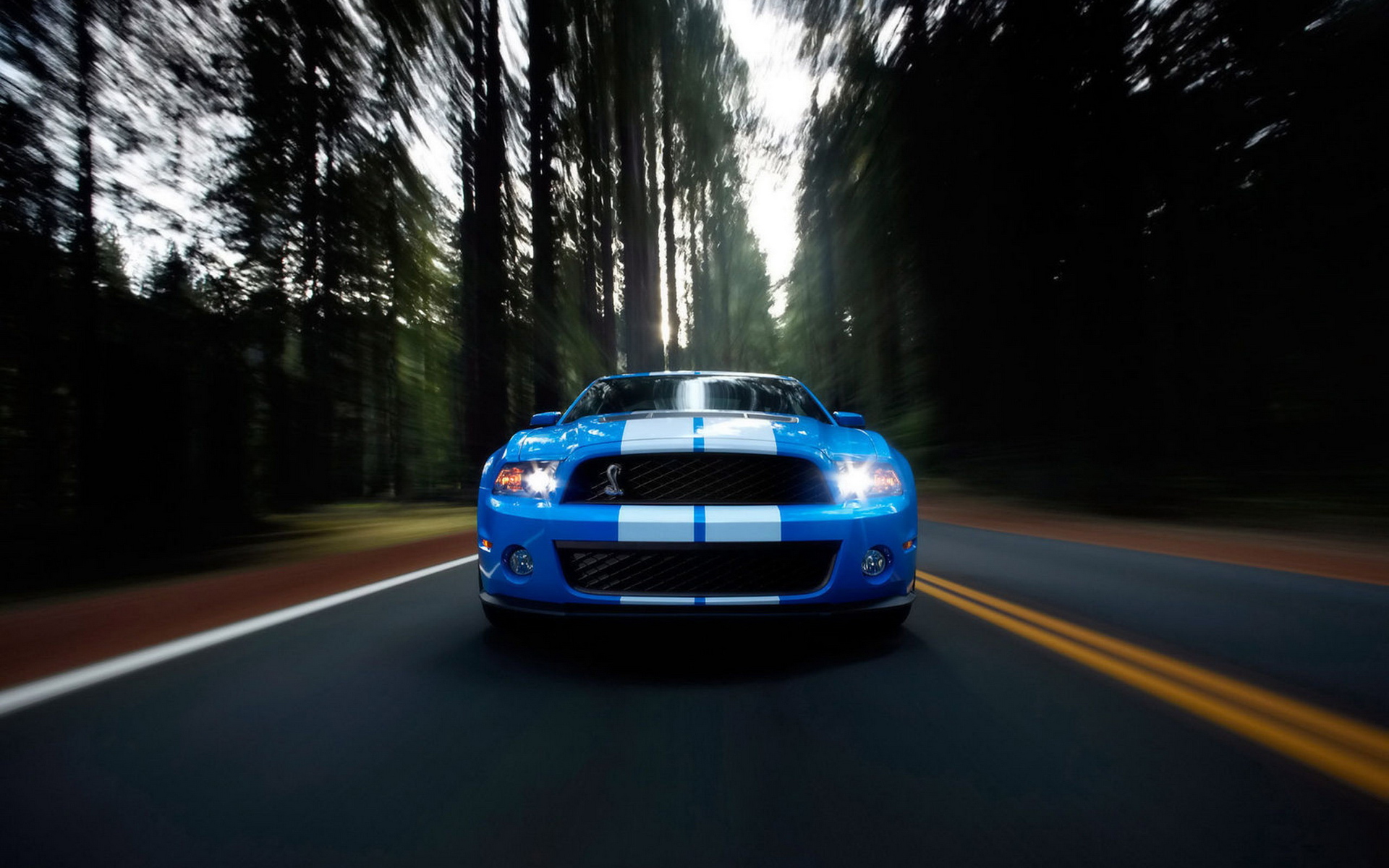 Free download wallpaper Ford Mustang, Vehicles on your PC desktop