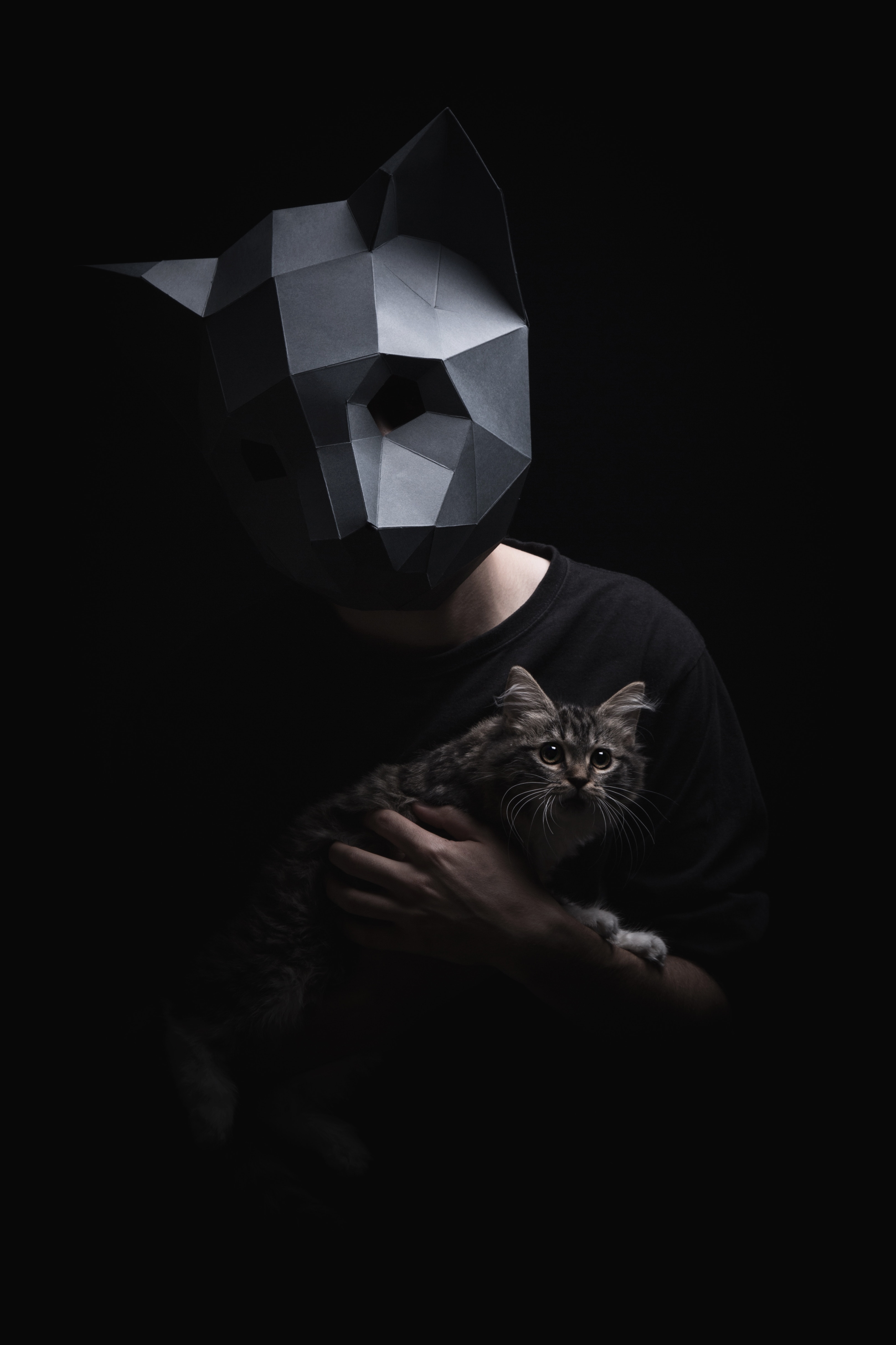 121530 завантажити картинку темні, темний, кіт, кішка, маска, об'ємний, об'ємні, 3d маска - шпалери і заставки безкоштовно