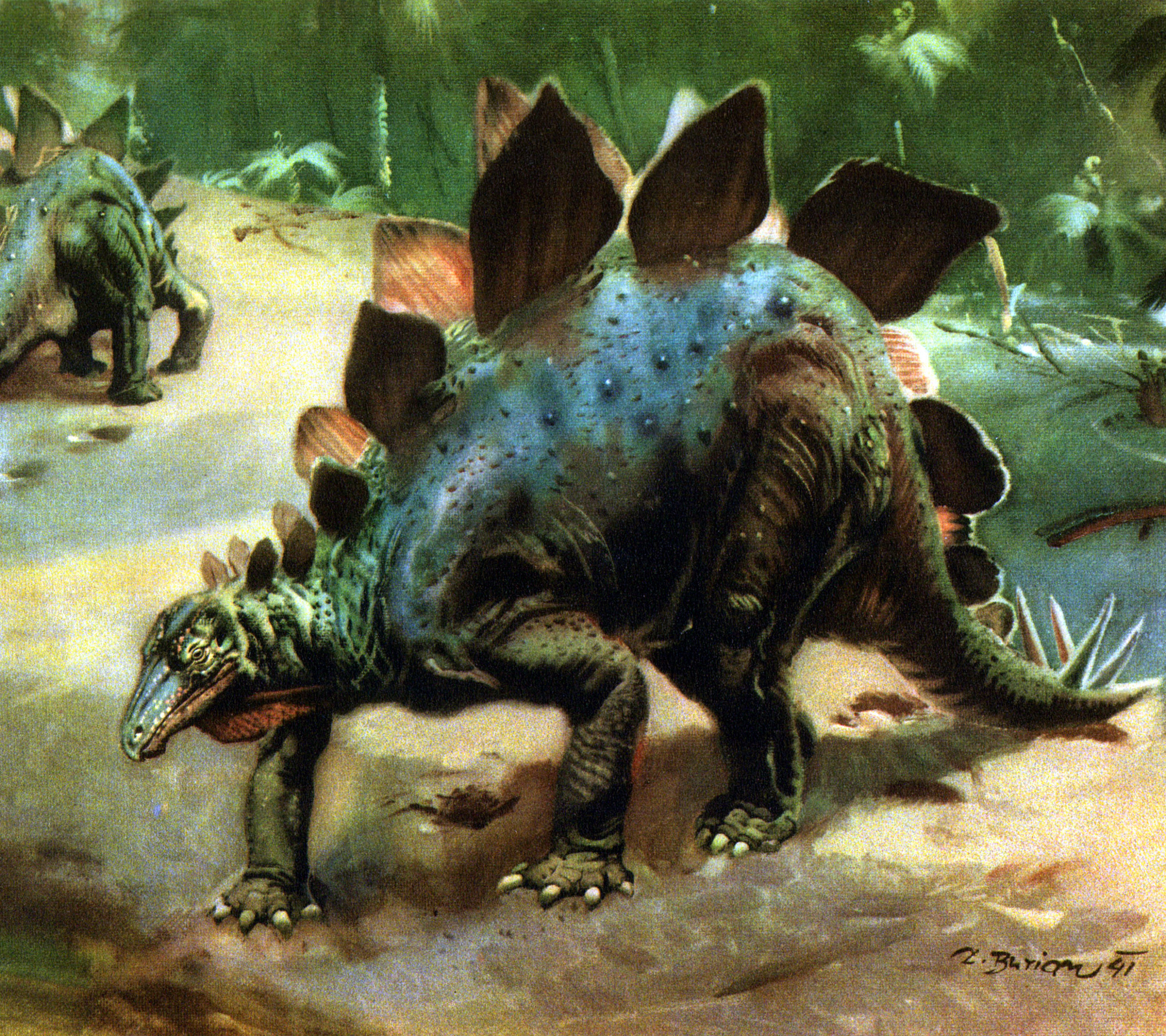 1537546 baixar imagens animais, estegossauro, dinossauros - papéis de parede e protetores de tela gratuitamente