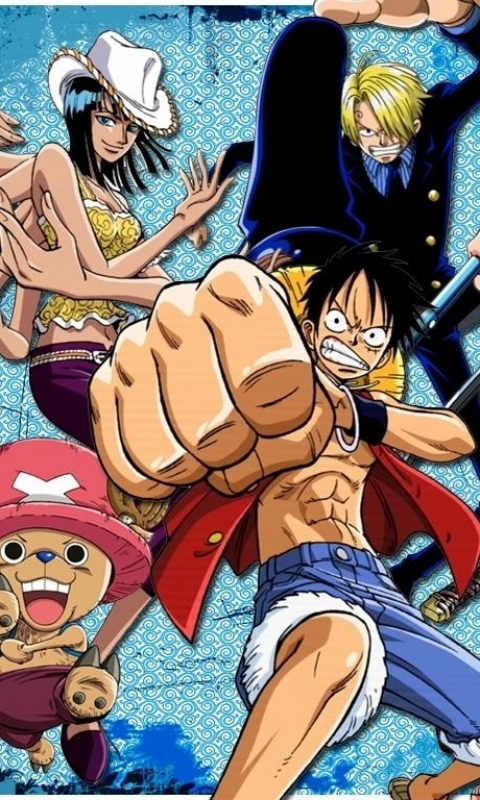 Descarga gratuita de fondo de pantalla para móvil de Animado, One Piece, Tony Tony Chopper, Usopp (Una Pieza), Roronoa Zoro, Monkey D Luffy, Nami (Una Pieza), Sanji (Una Pieza), Nico Robin.