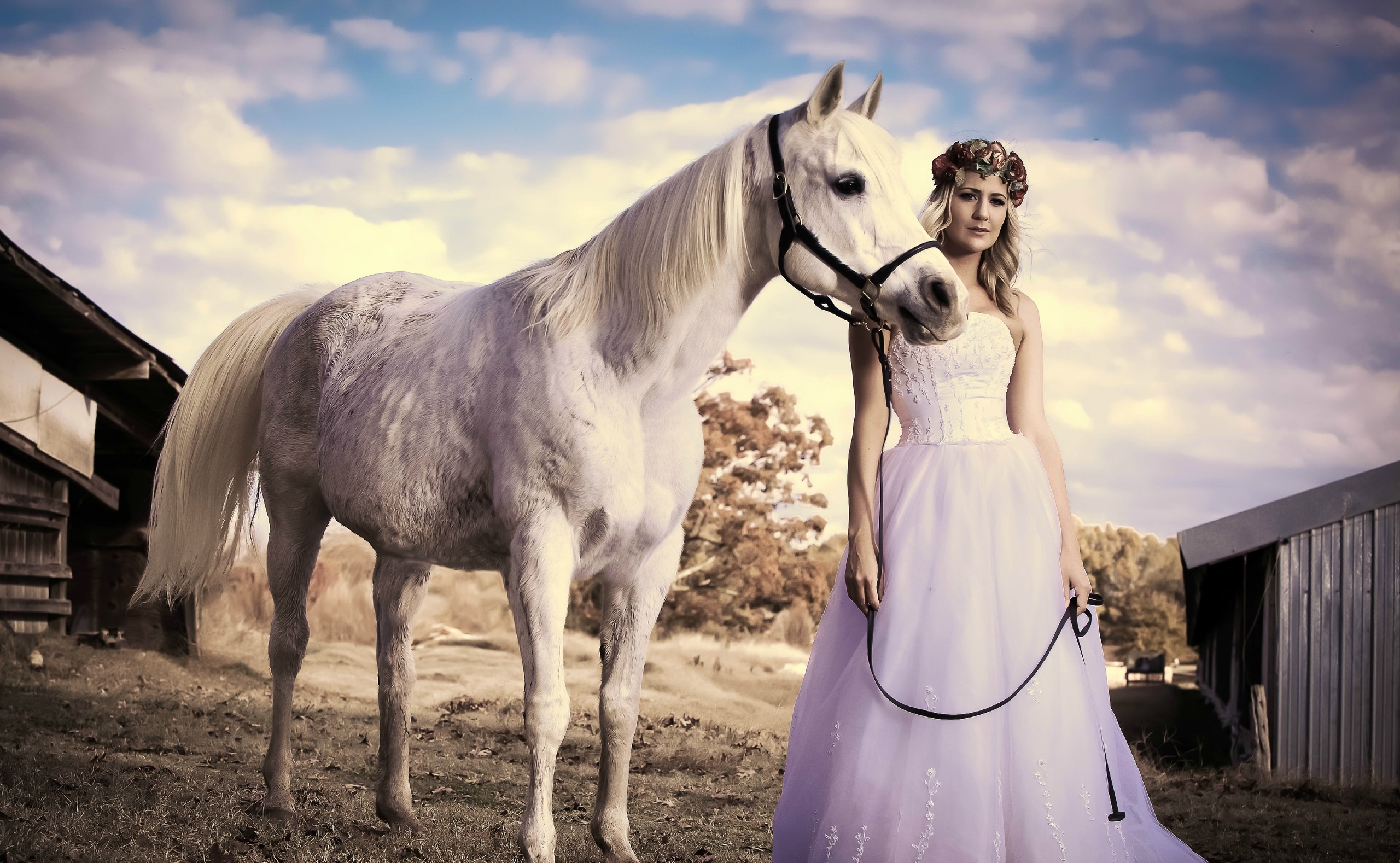 PCデスクトップに馬, 花輪, ブロンド, 花嫁, 女性, ウェディングドレス, ホワイトドレス画像を無料でダウンロード