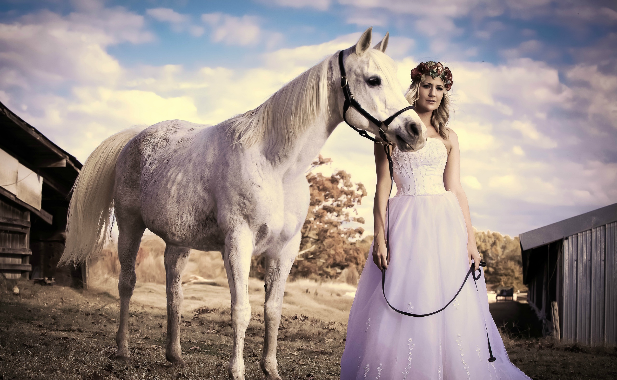 Téléchargez gratuitement l'image Couronne, Cheval, Blond, Mariée, Robe De Mariée, Femmes, Robe Blanche sur le bureau de votre PC