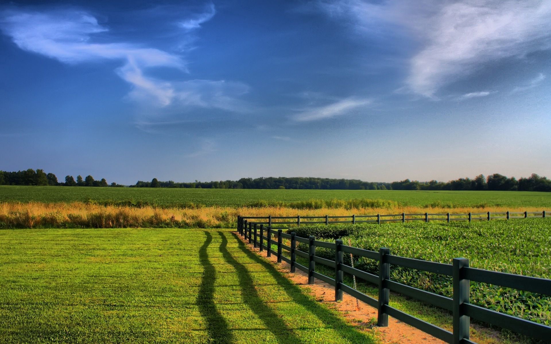 1920 x 1080 picture agriculture, fields, nature, greens, fence