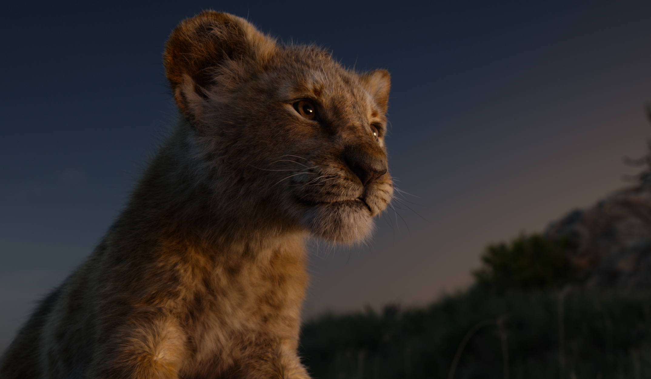 the lion king (2019), simba, movie
