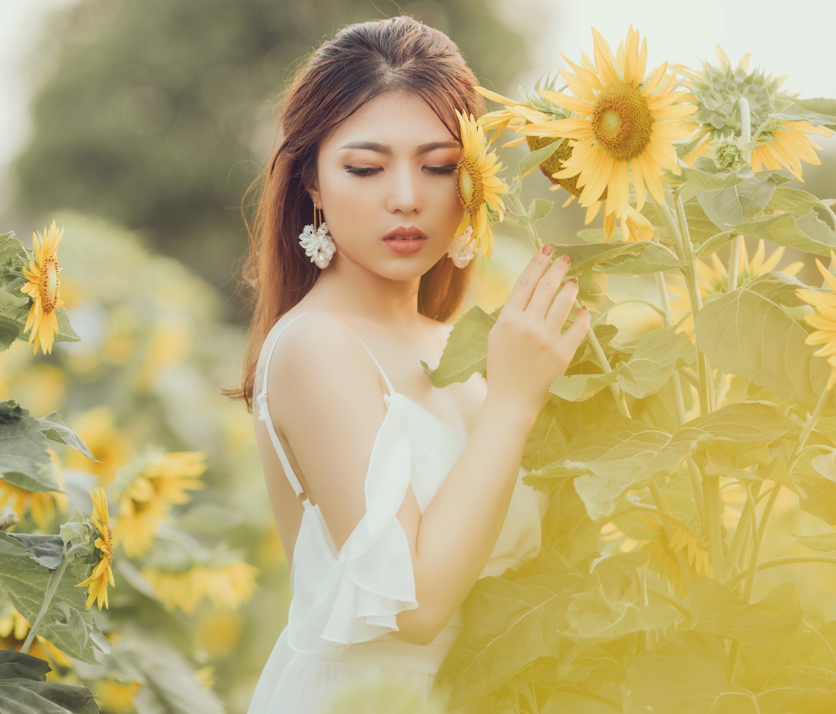 Free download wallpaper Summer, Flower, Sunflower, Brunette, Model, Women, Earrings, Yellow Flower, Asian, White Dress on your PC desktop