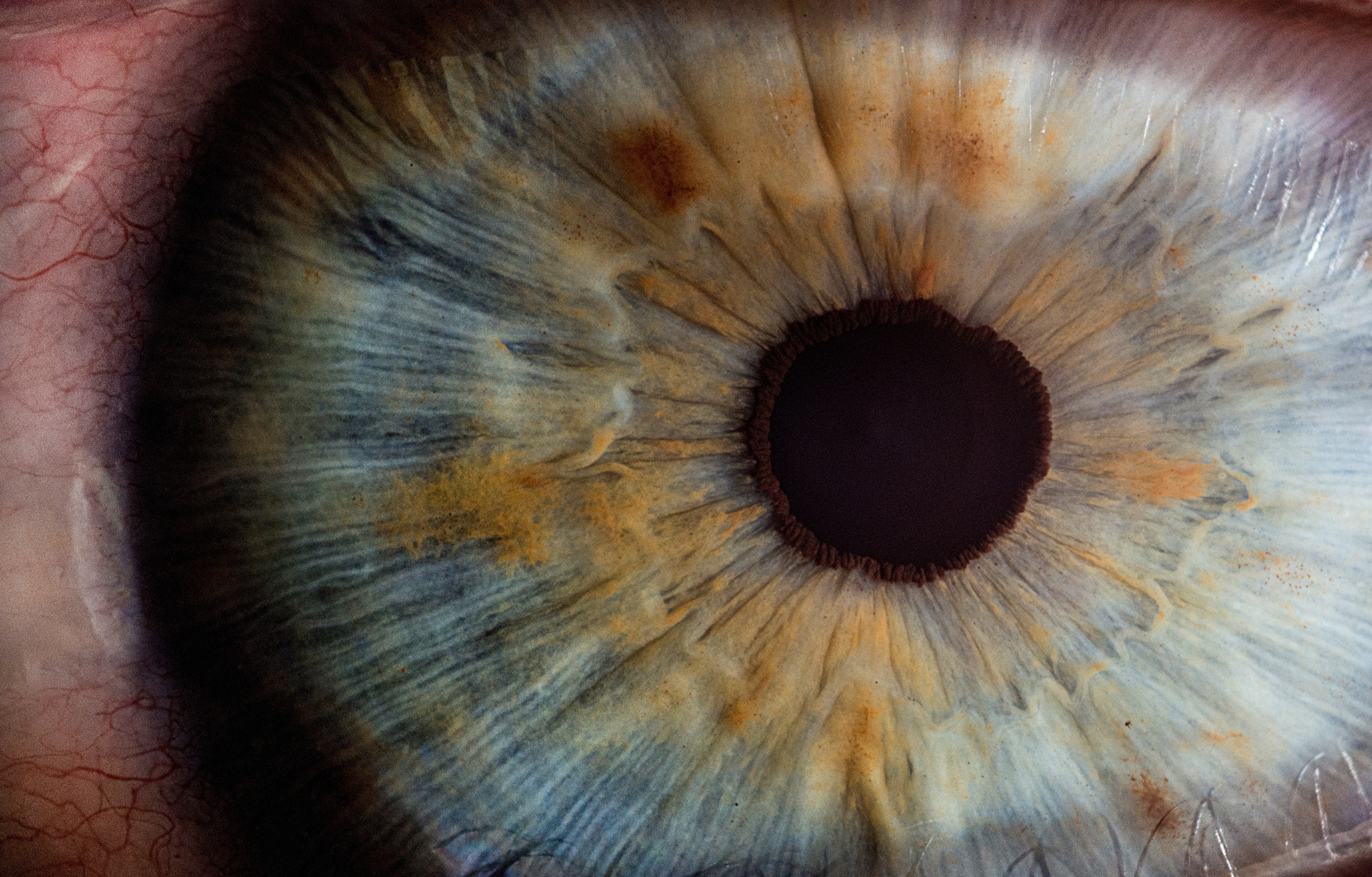 eye, pupil, macro, close up 4K Ultra