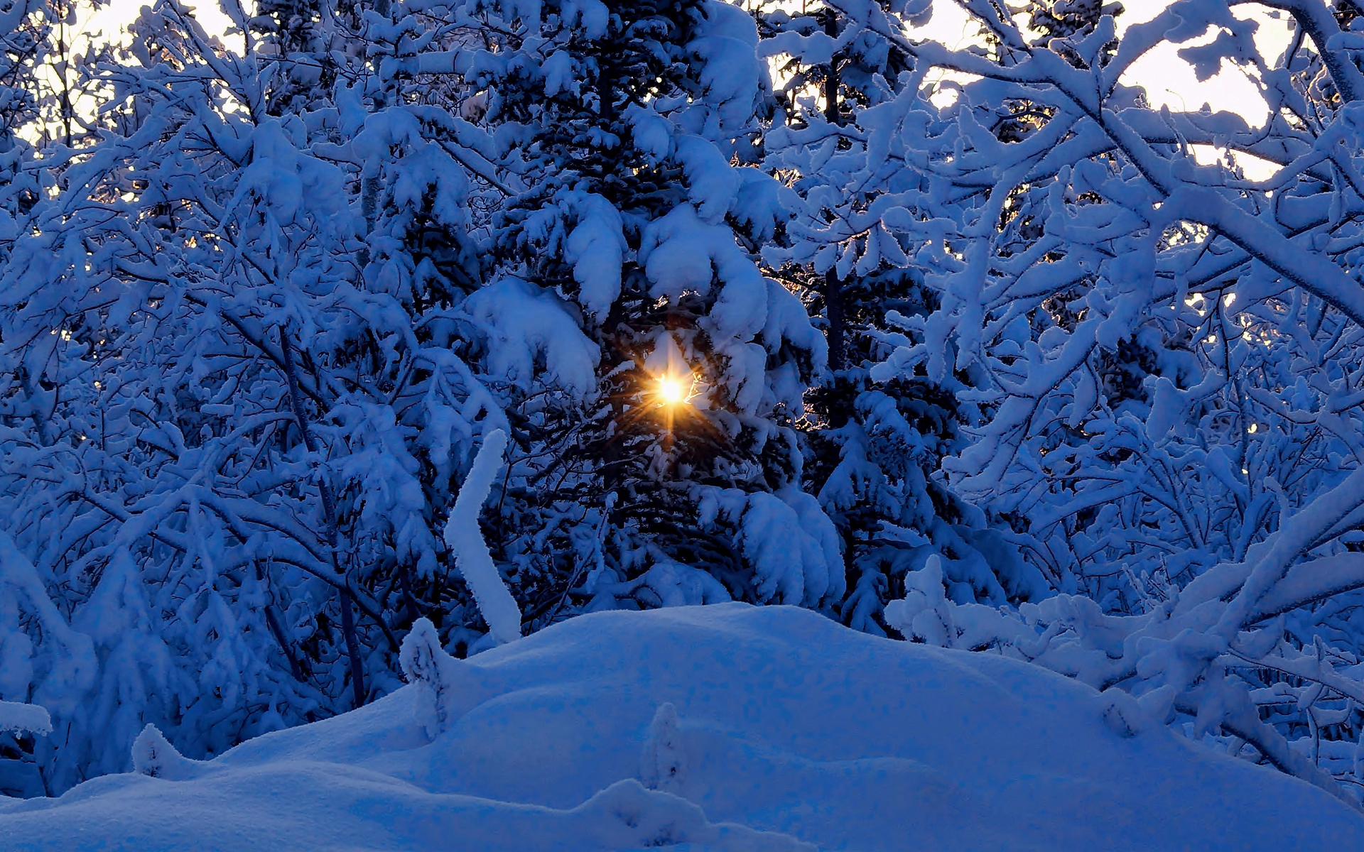 Скачать обои бесплатно Зима, Закат, Солнце, Снег, Дерево, Земля/природа картинка на рабочий стол ПК