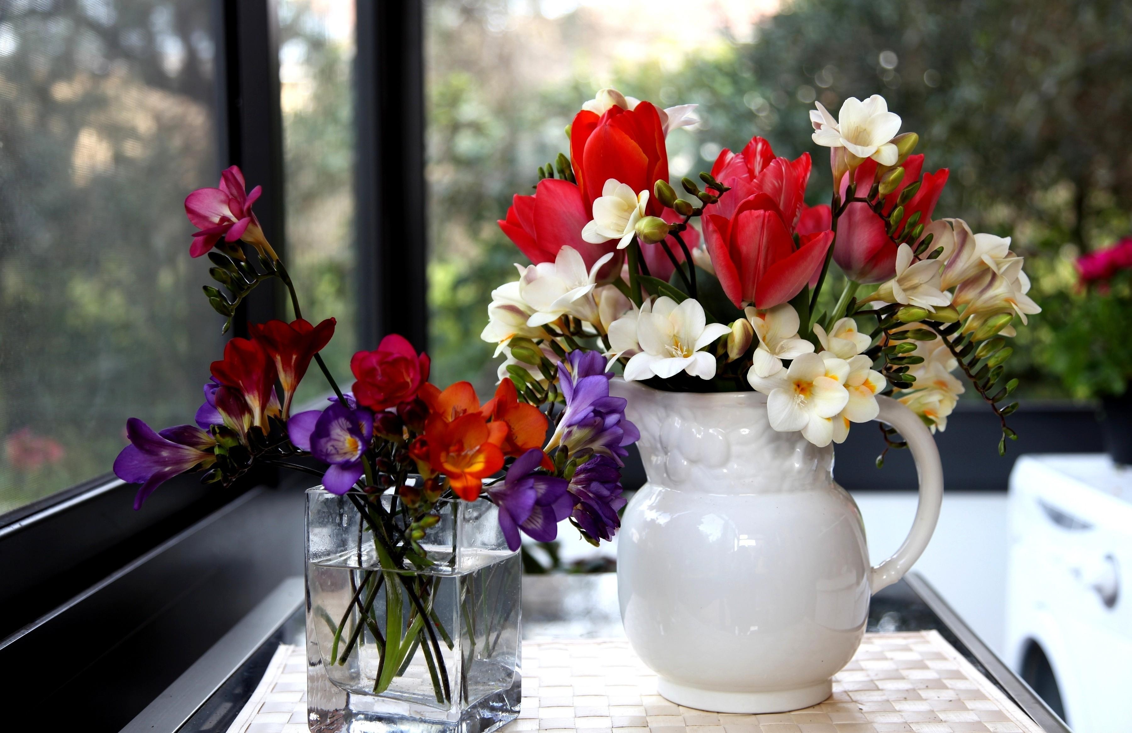 107929 descargar imagen flores, tulipanes, belleza, jarra, jarro, vidrio, fresia, freesia: fondos de pantalla y protectores de pantalla gratis