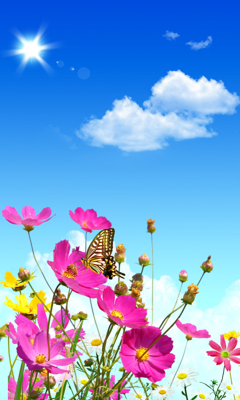 Download mobile wallpaper Landscape, Artistic for free.