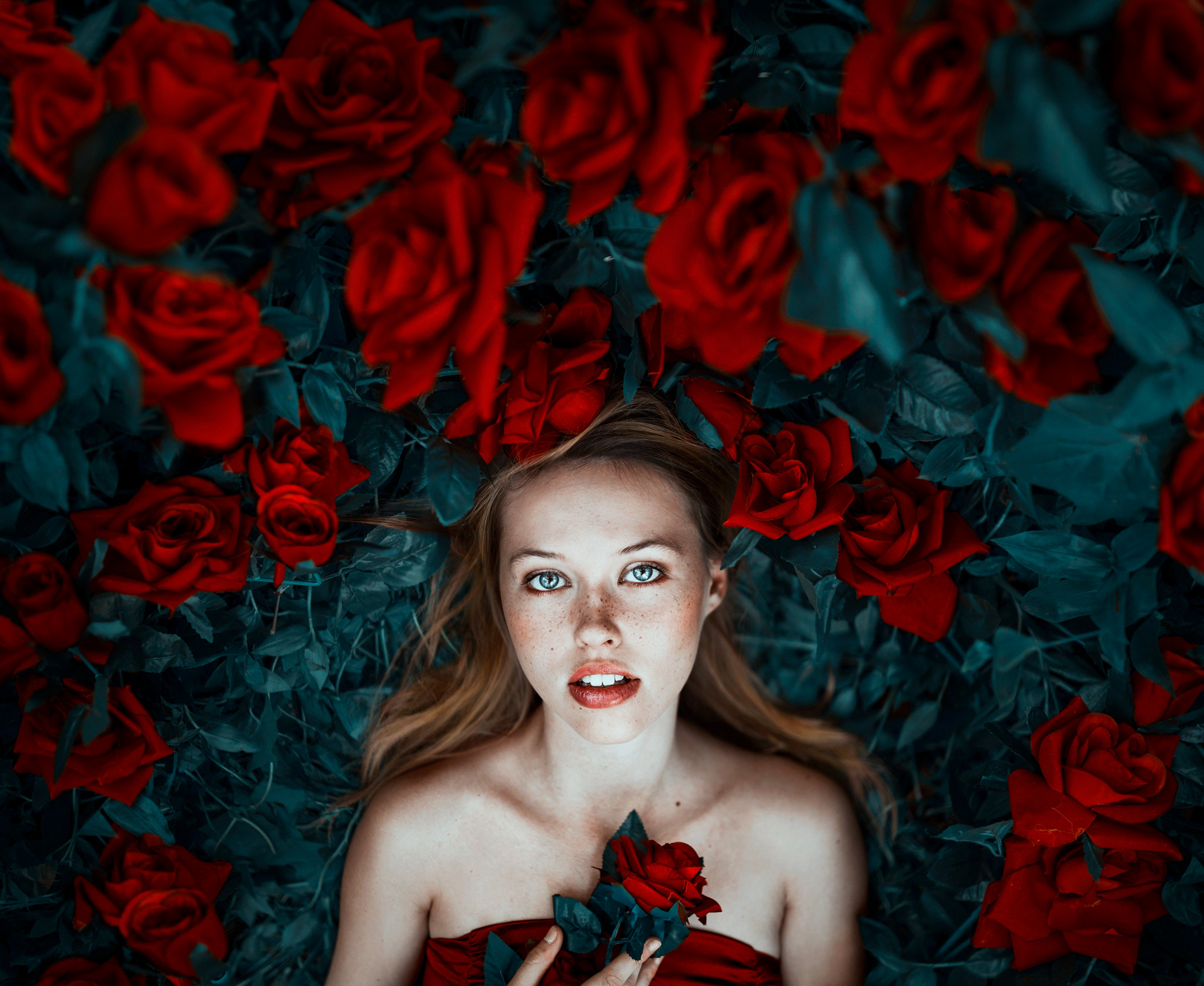 Free download wallpaper Flower, Rose, Redhead, Model, Women, Blue Eyes, Red Flower, Lying Down on your PC desktop