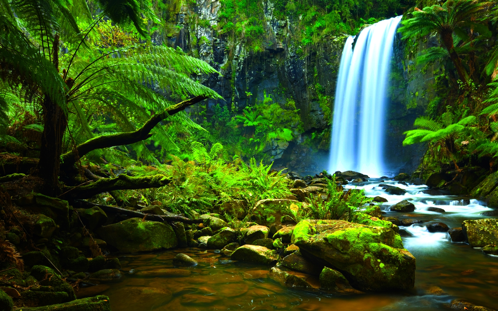 Скачать картинку Водопад, Папоротник, Зеленый, Тропический, Земля/природа в телефон бесплатно.