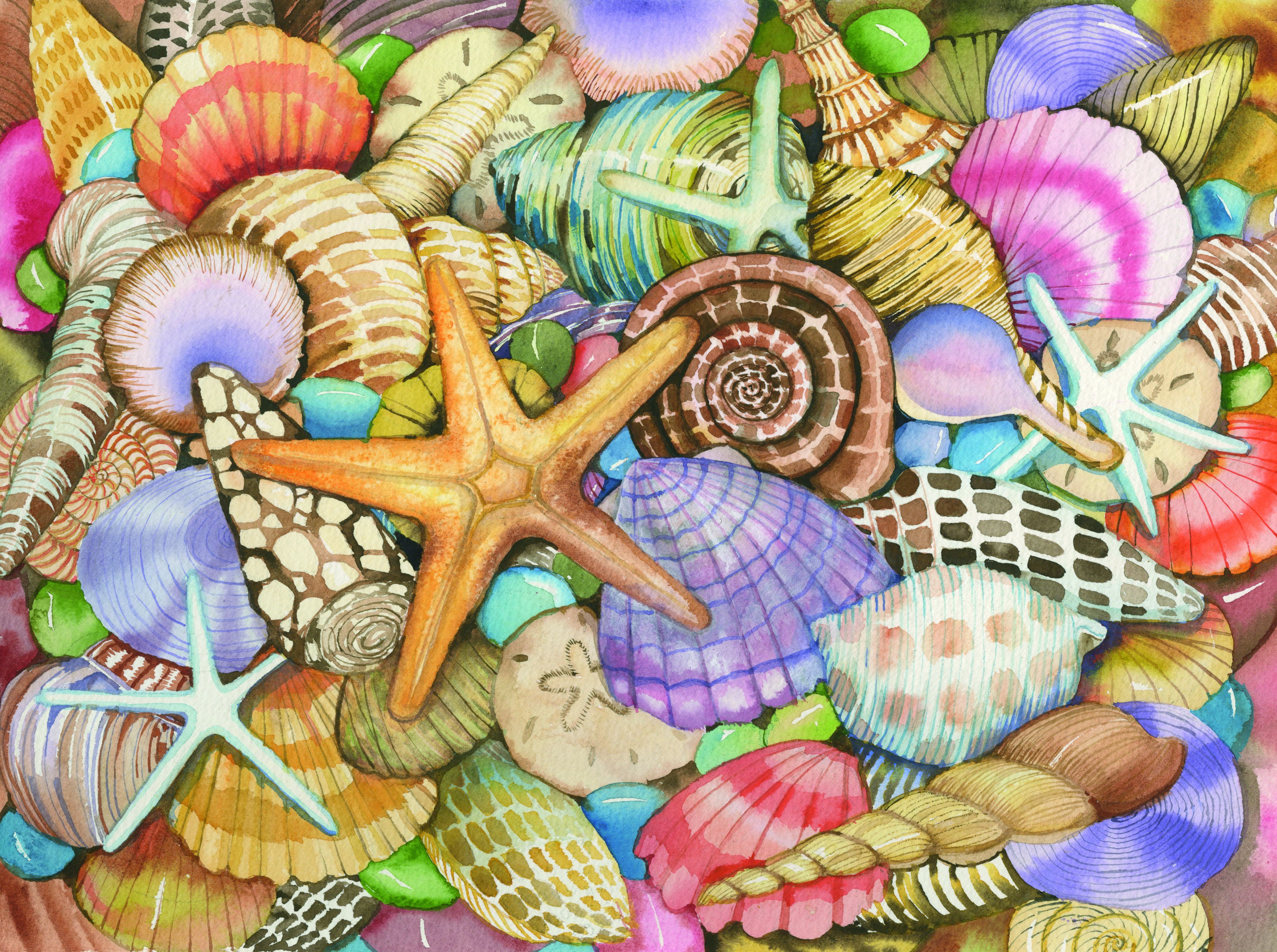 Free download wallpaper Animal, Sea Life on your PC desktop